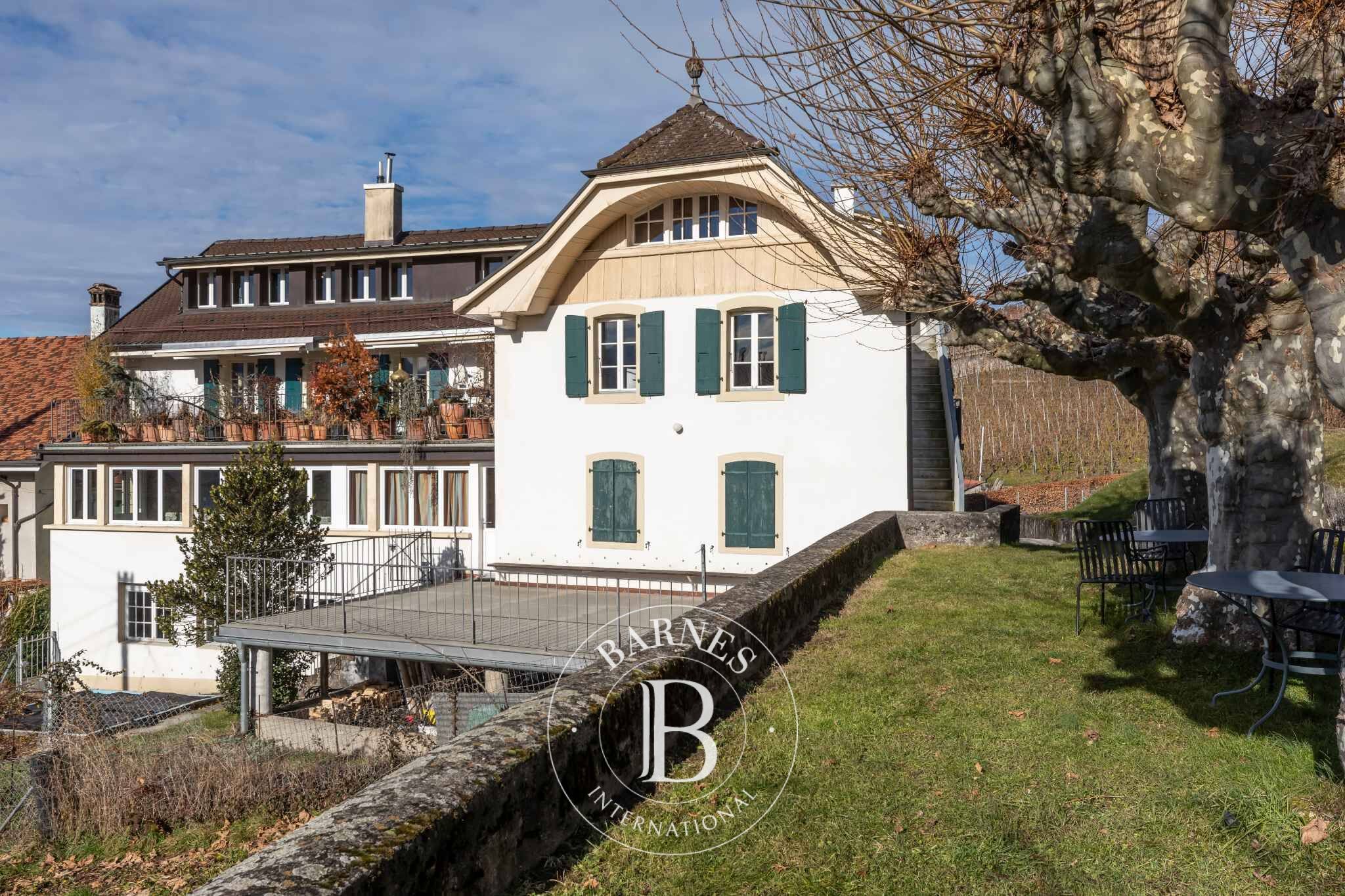 Daire Montreux - picture 12