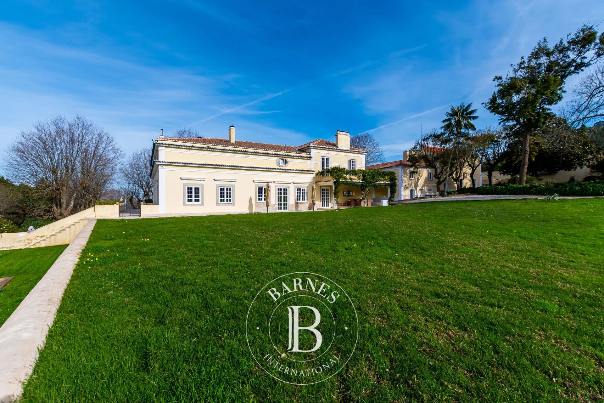 Çiftlik Colares - picture 12