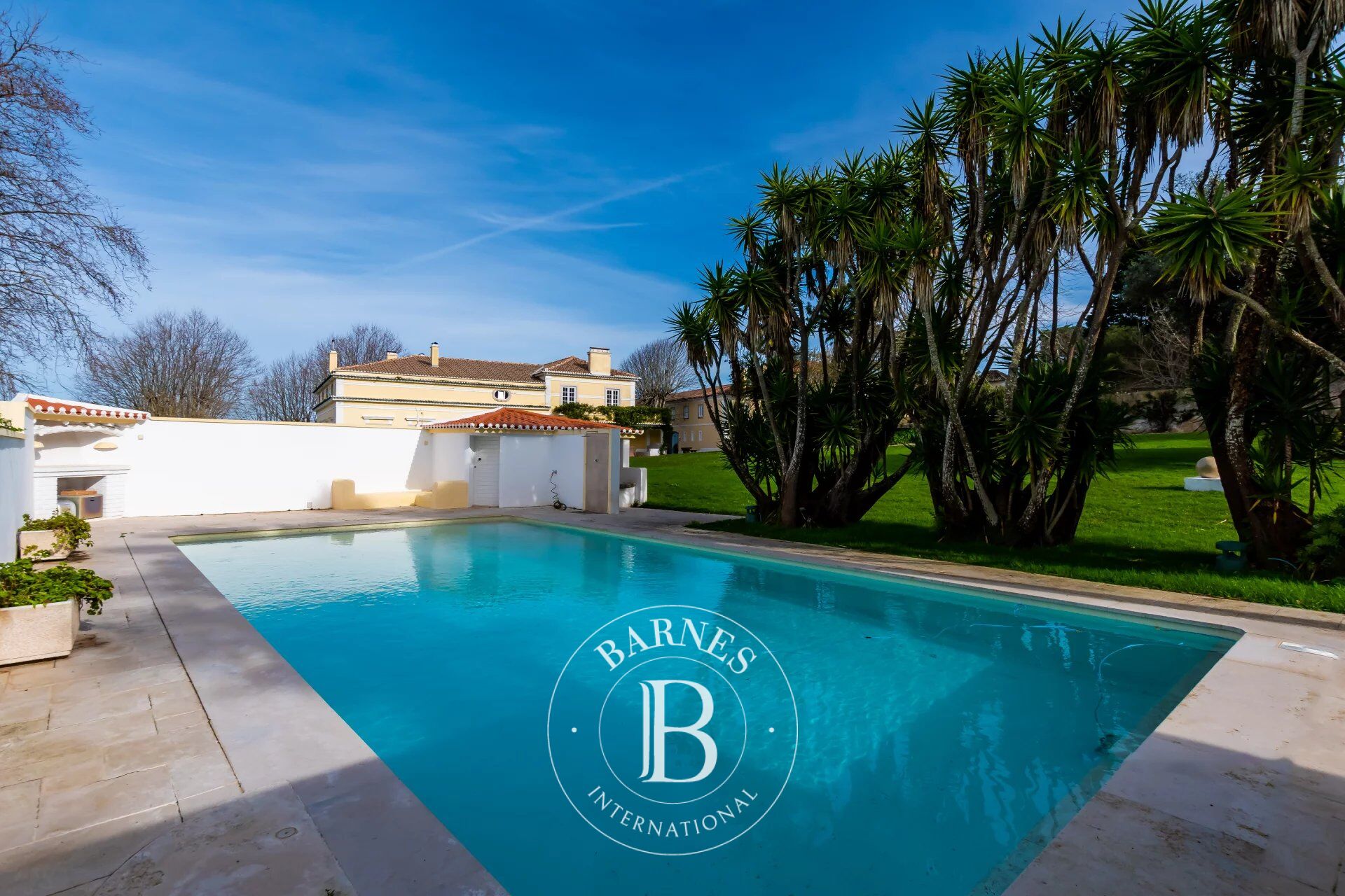 Çiftlik Colares - picture 13