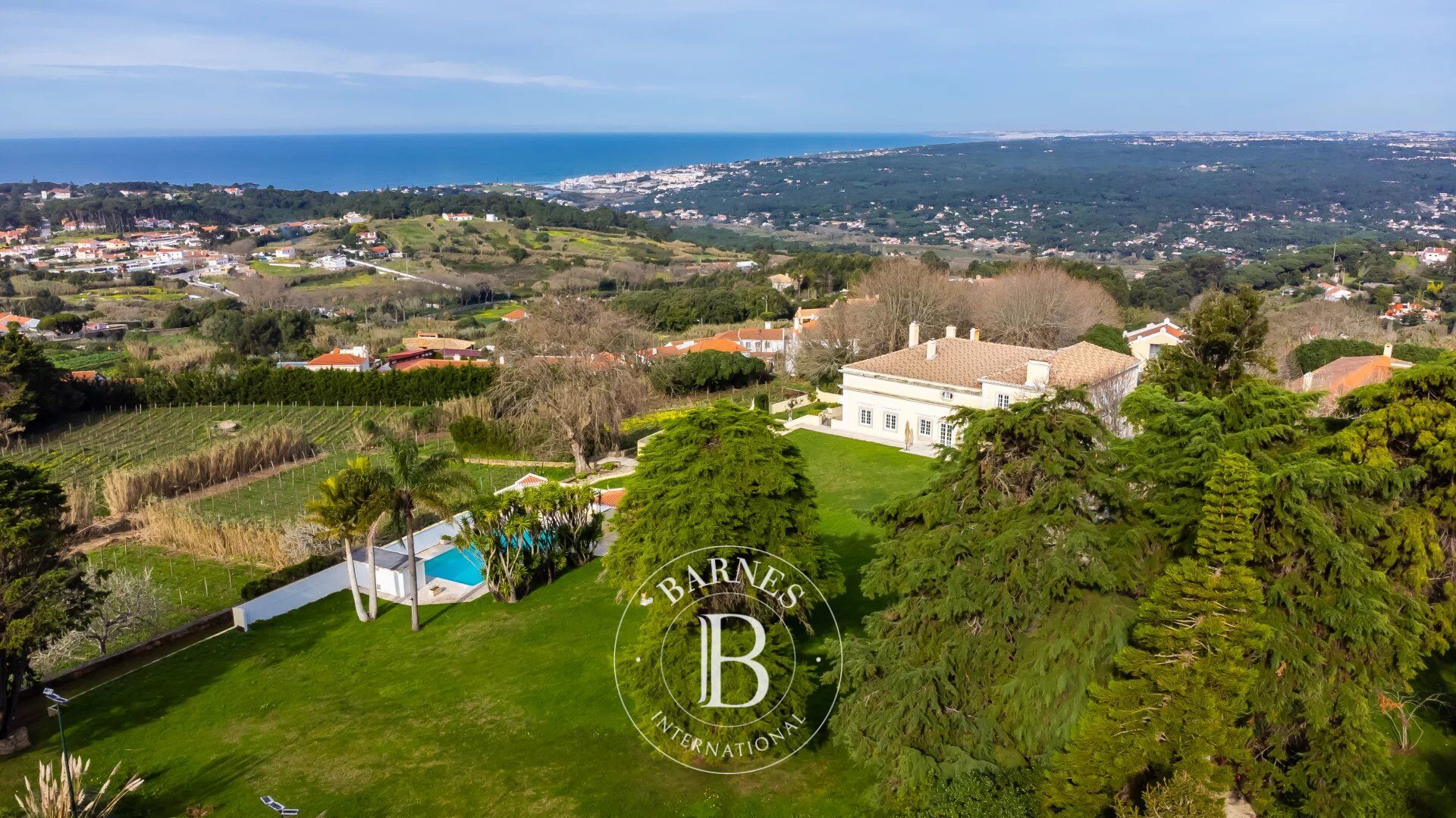 Çiftlik Colares - picture 19