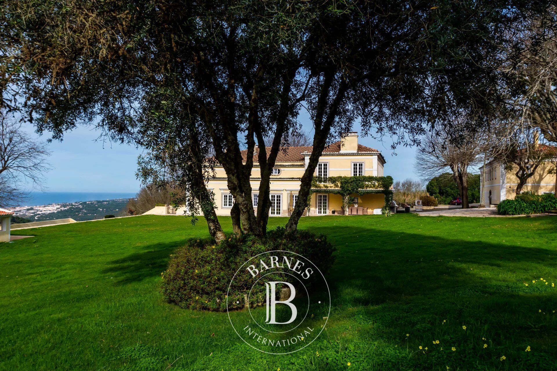 Çiftlik Colares - picture 14