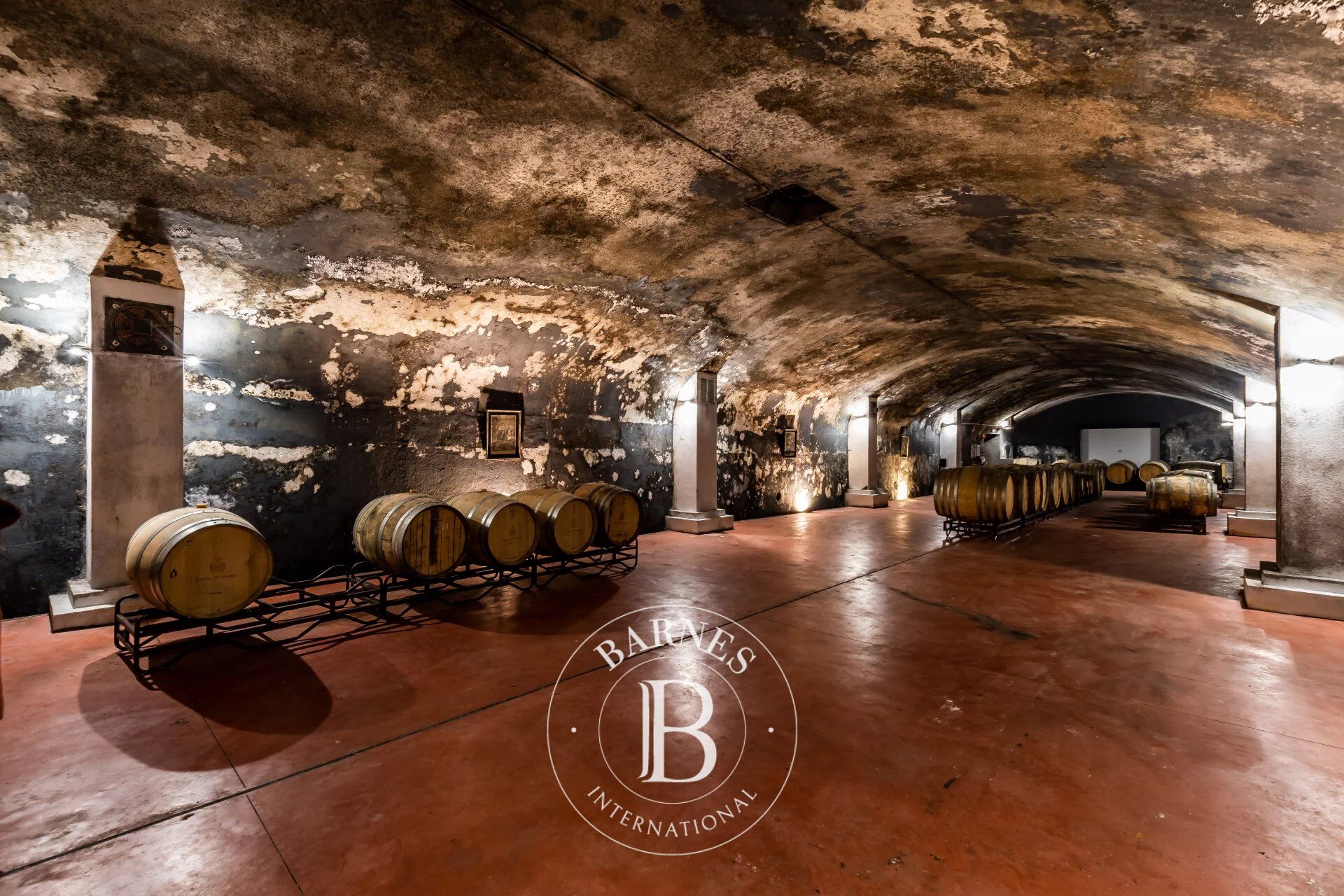 Çiftlik Colares - picture 17