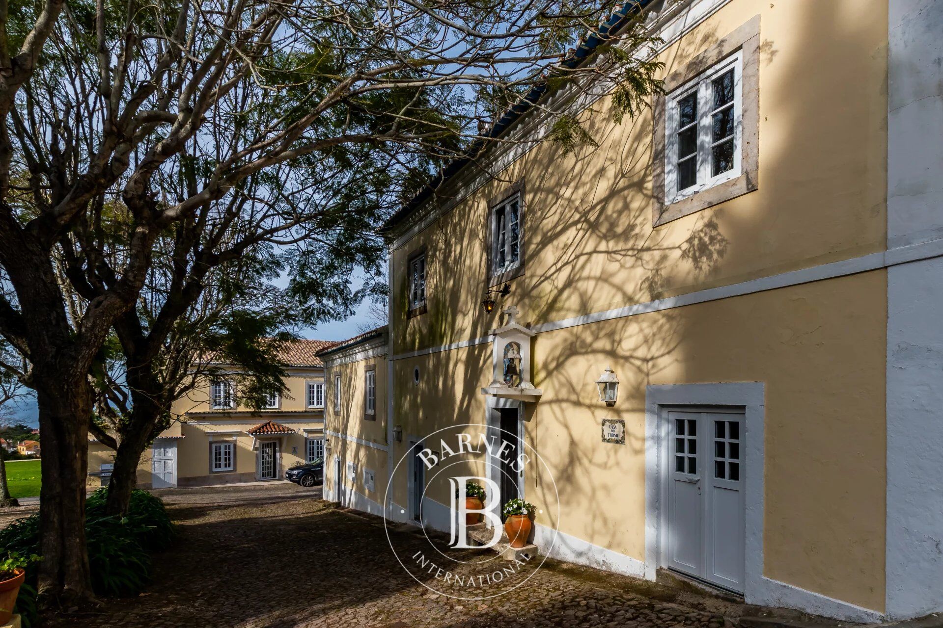 Çiftlik Colares - picture 20