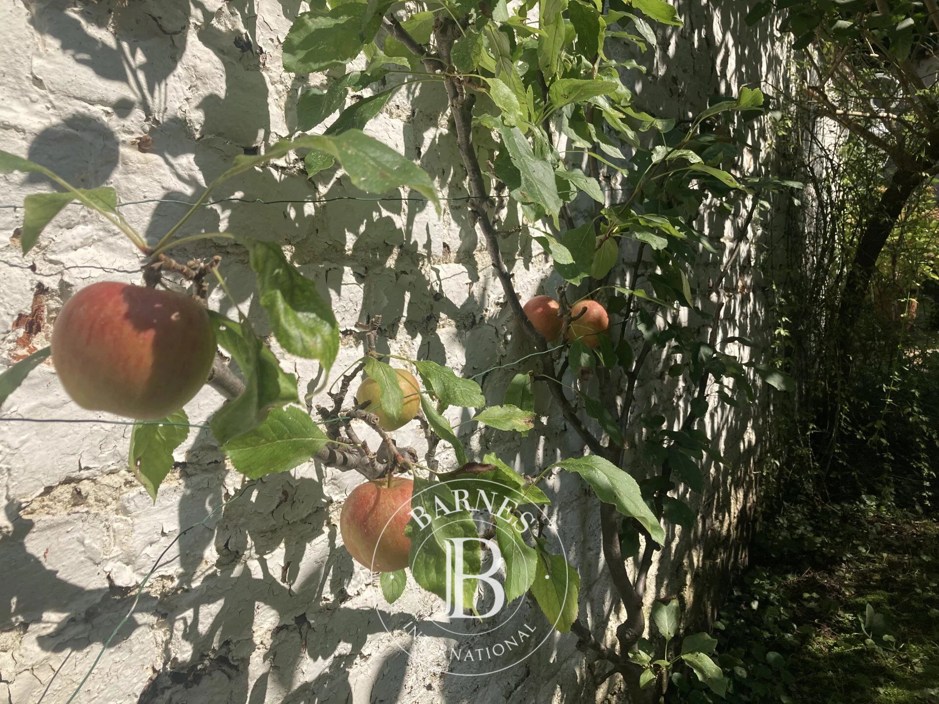 Ev Ixelles - picture 35