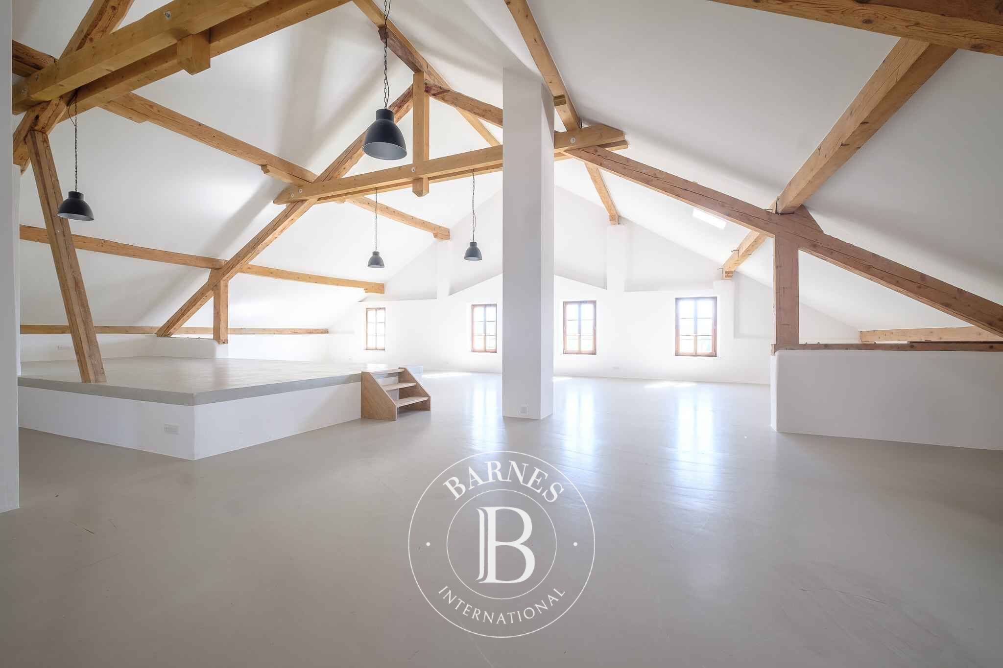 Villa Jussy - picture 13