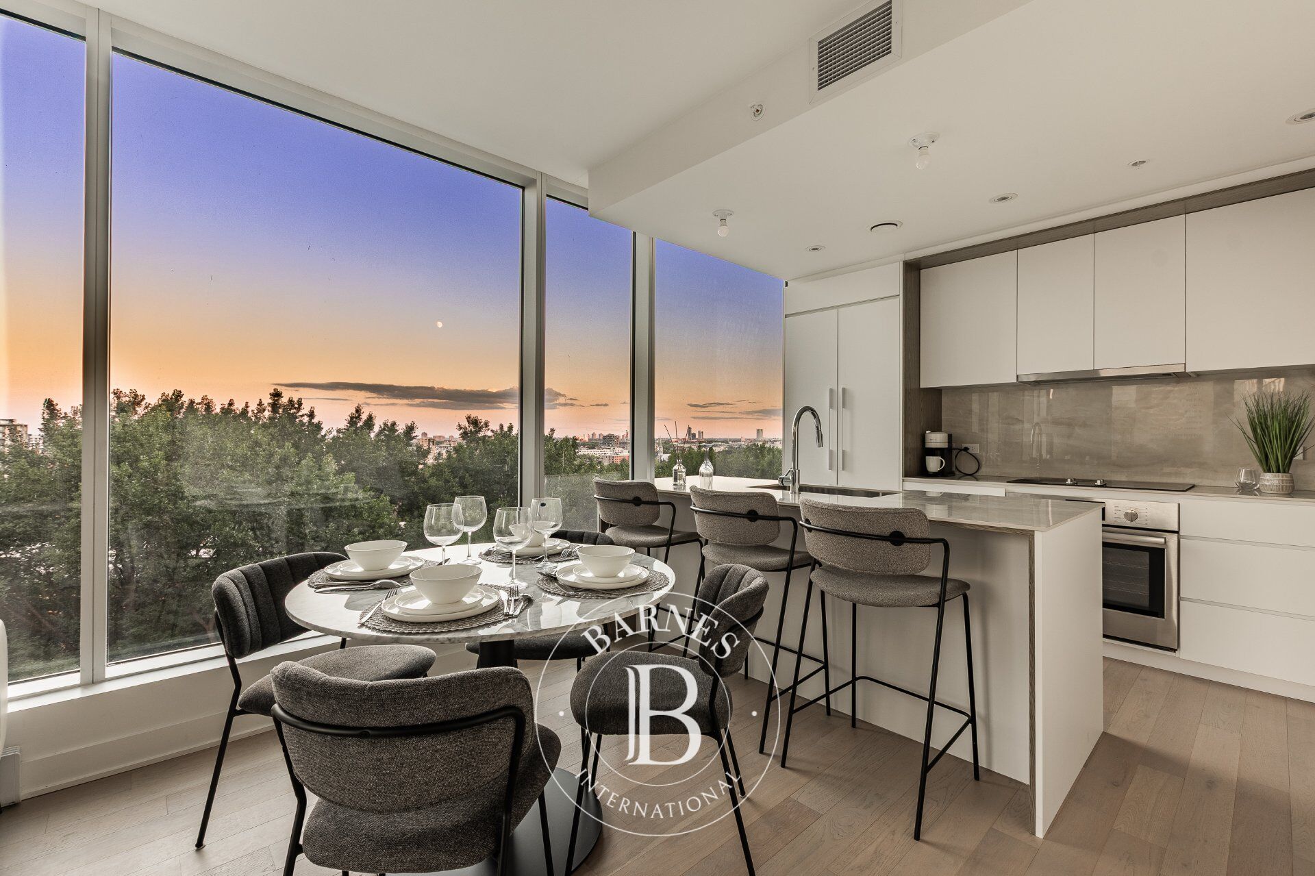 Daire Montréal (Ville-Marie)