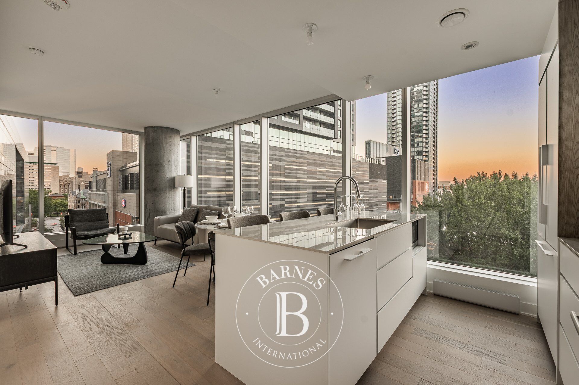 Daire Montréal (Ville-Marie)