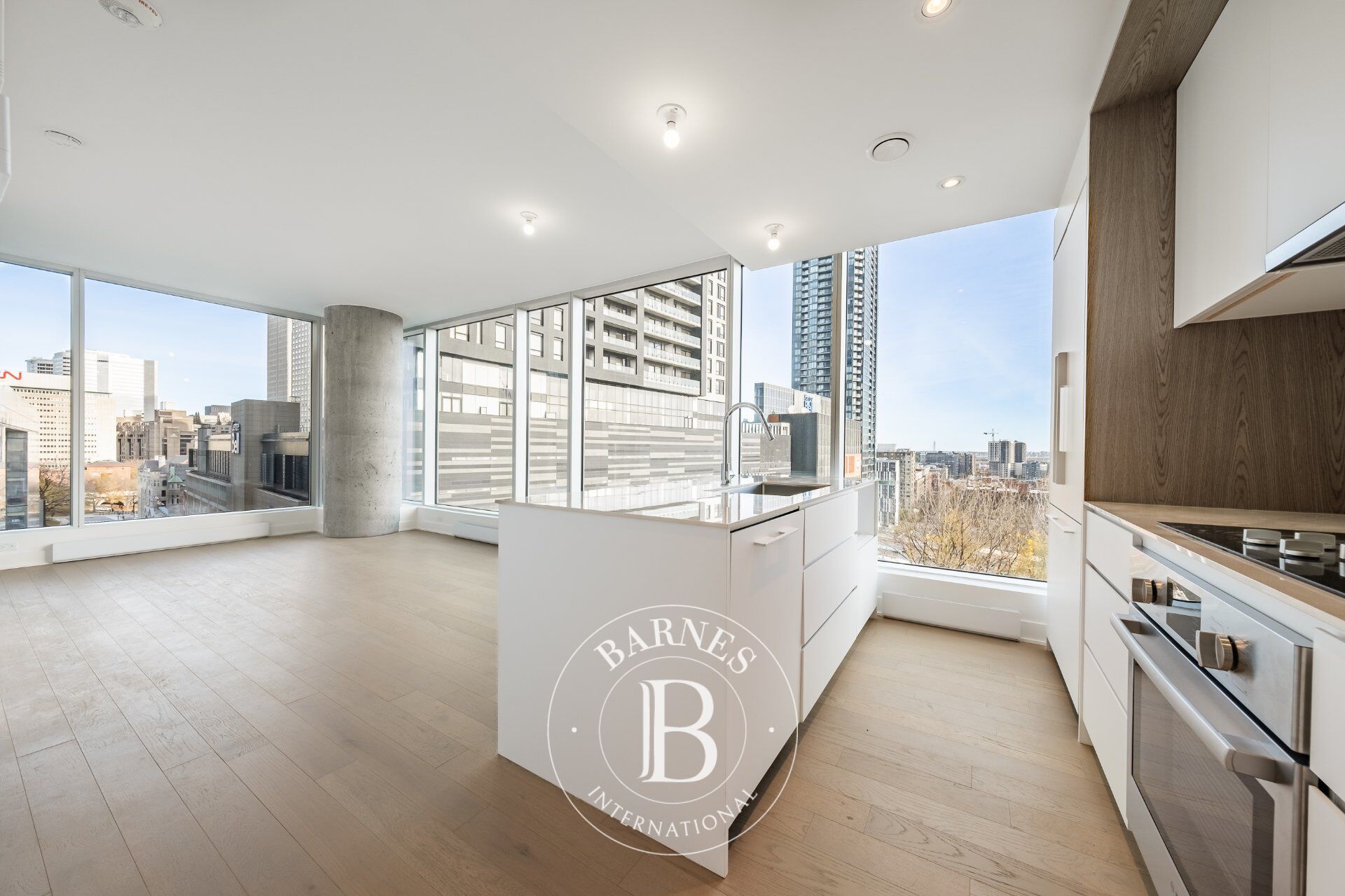 Daire Montréal (Ville-Marie) - picture 8