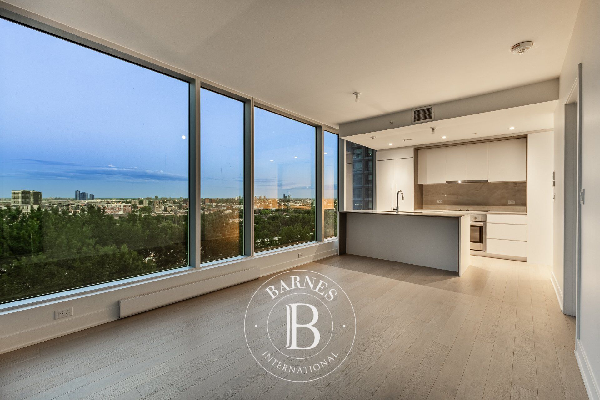 Daire Montréal (Ville-Marie)