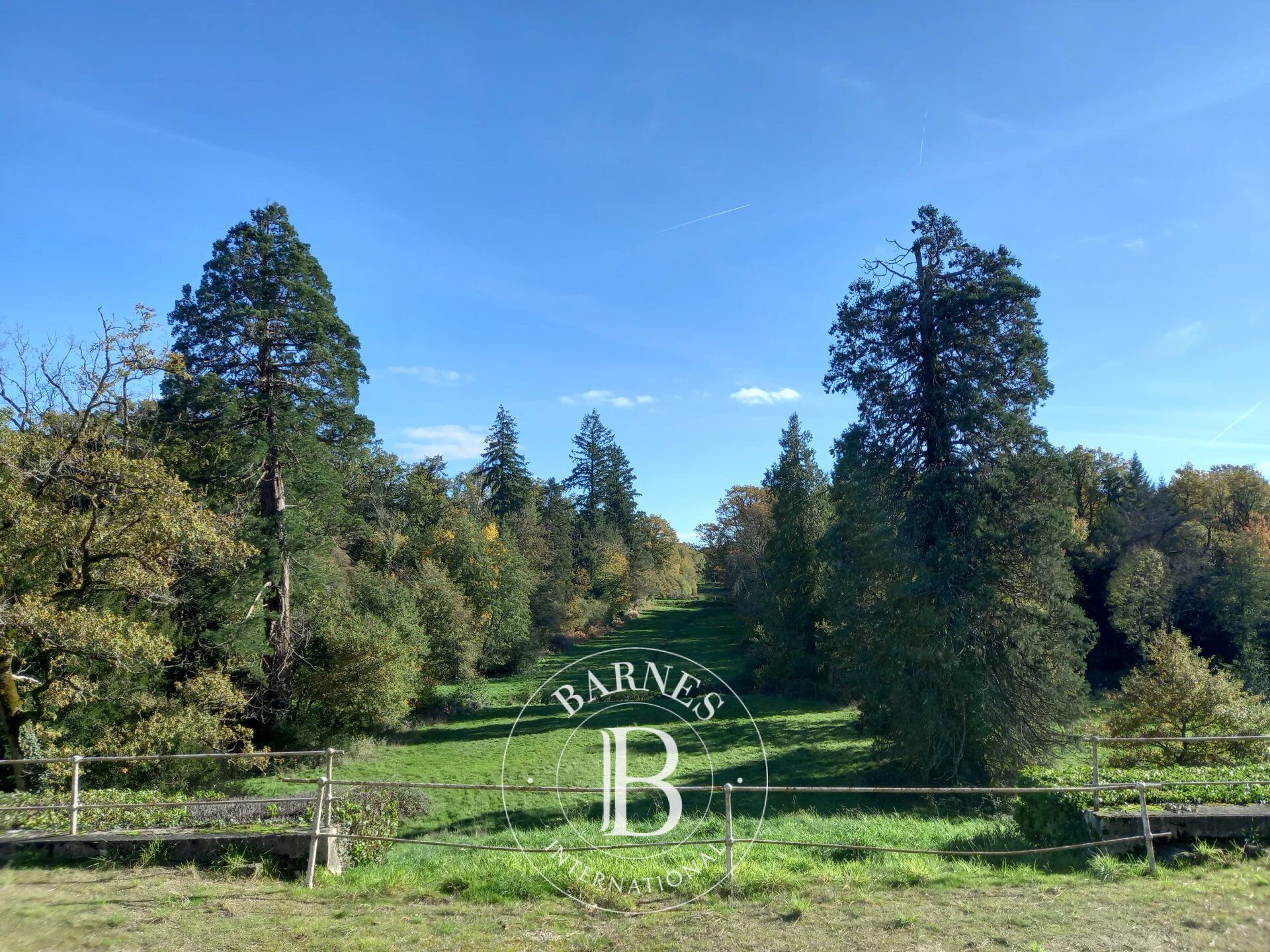 Castillo Verneuil-Moustiers - picture 3