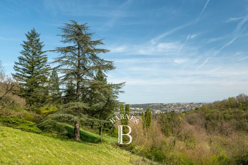 For Sale, House Curis-au-Mont-d'Or - picture 1