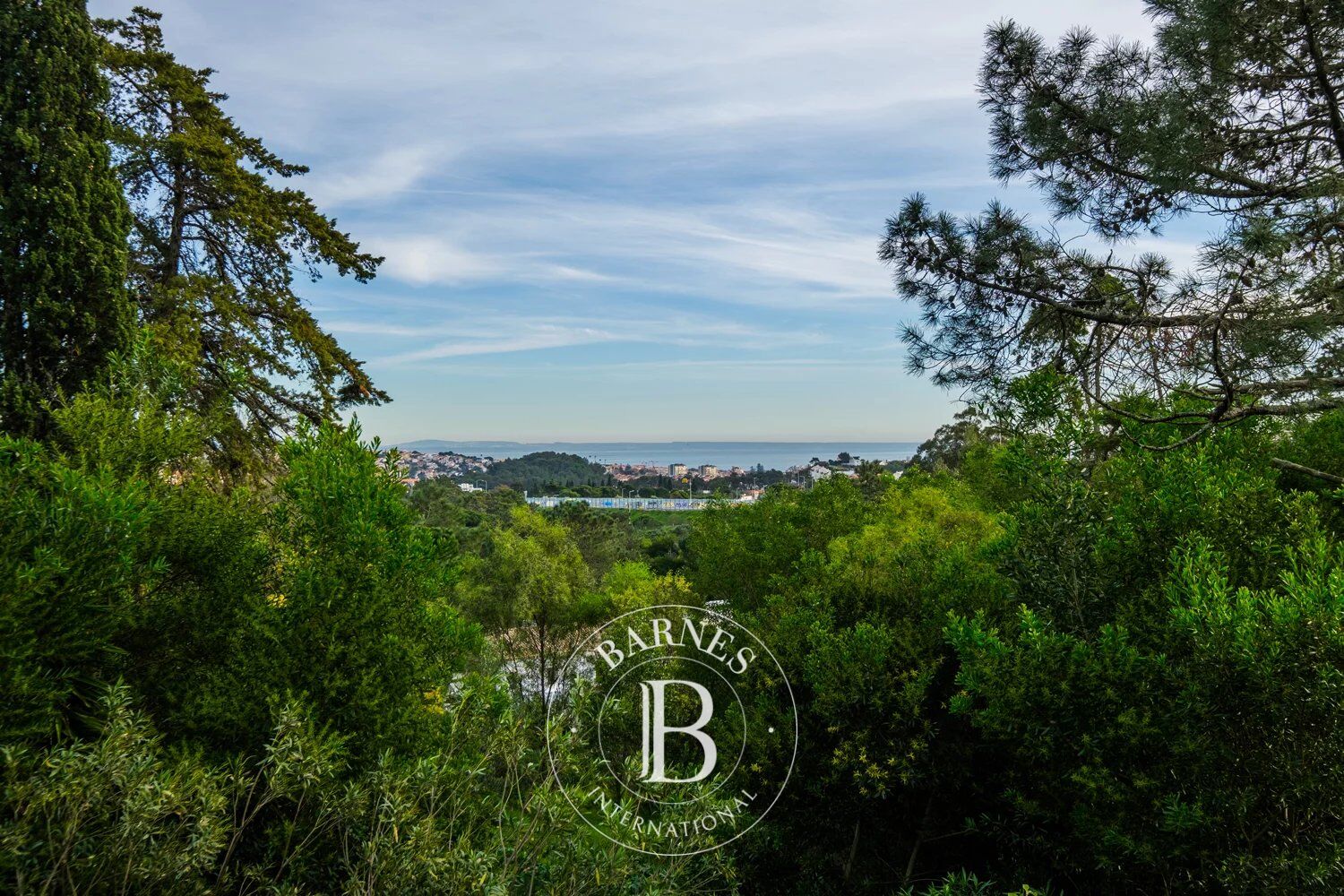 Ev Cascais e Estoril - picture 8