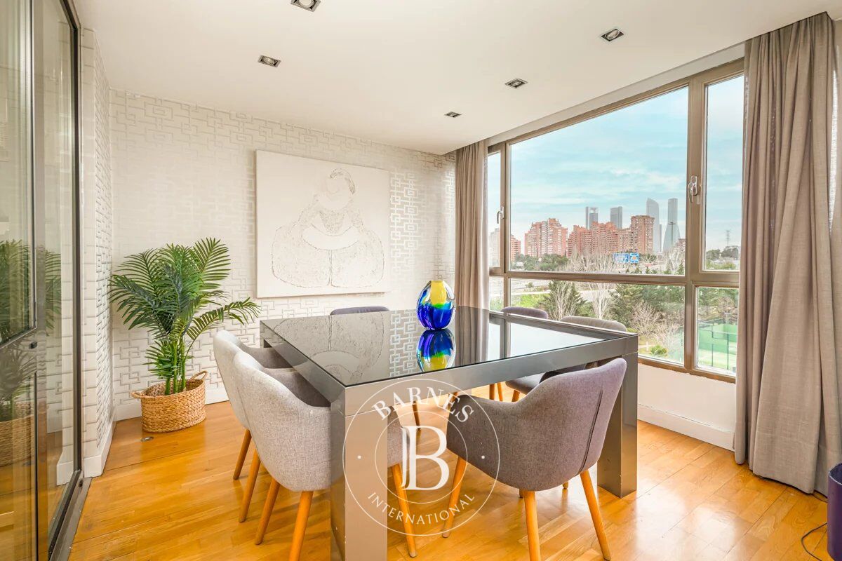 Penthouse Madrid - picture 11