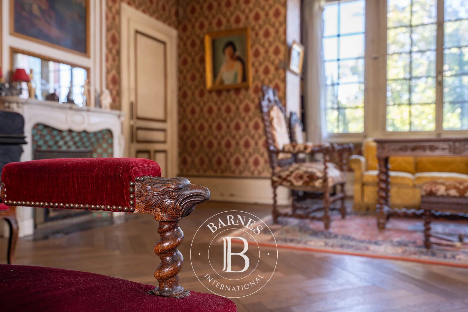 Ev Thonon-les-Bains - picture 10