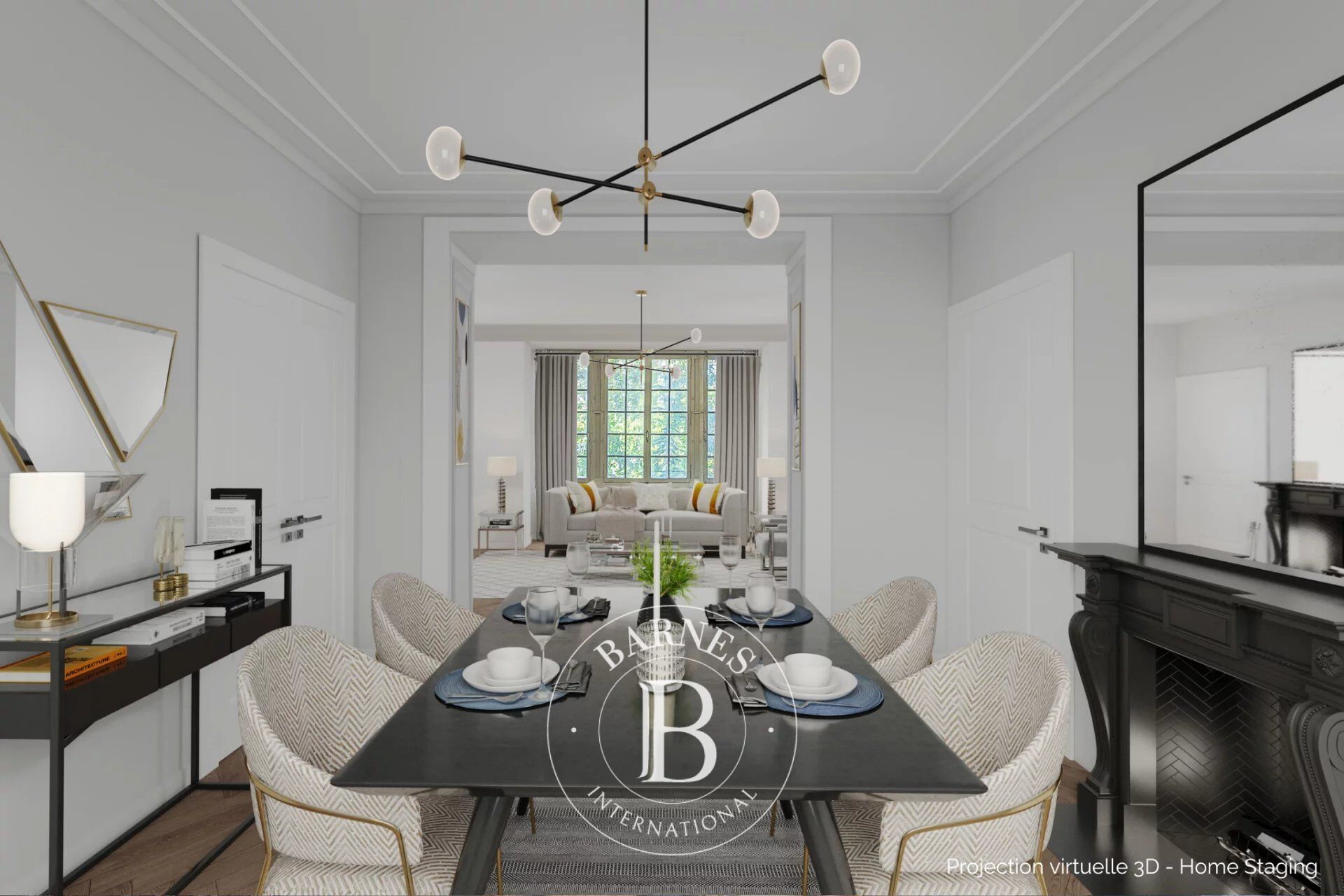 Ev Thonon-les-Bains - picture 7