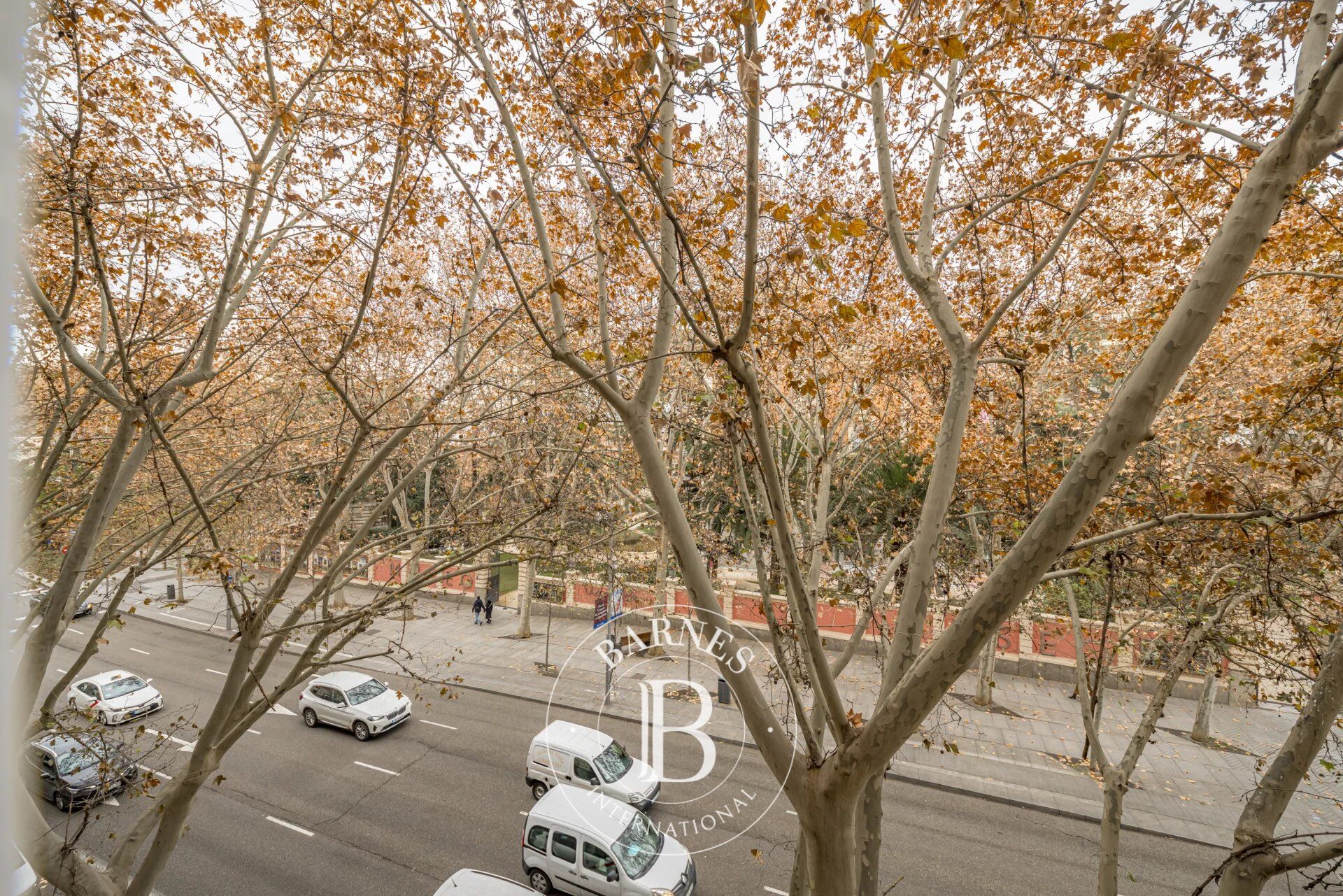 Daire Madrid - picture 35