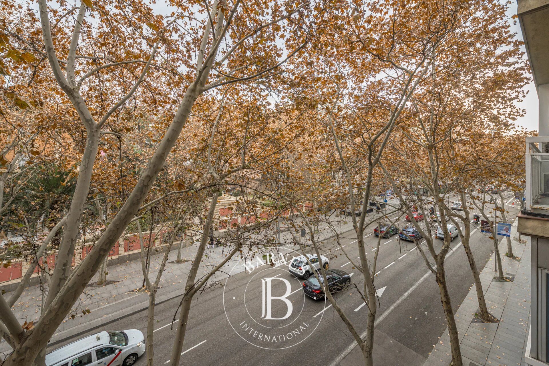 Daire Madrid - picture 34