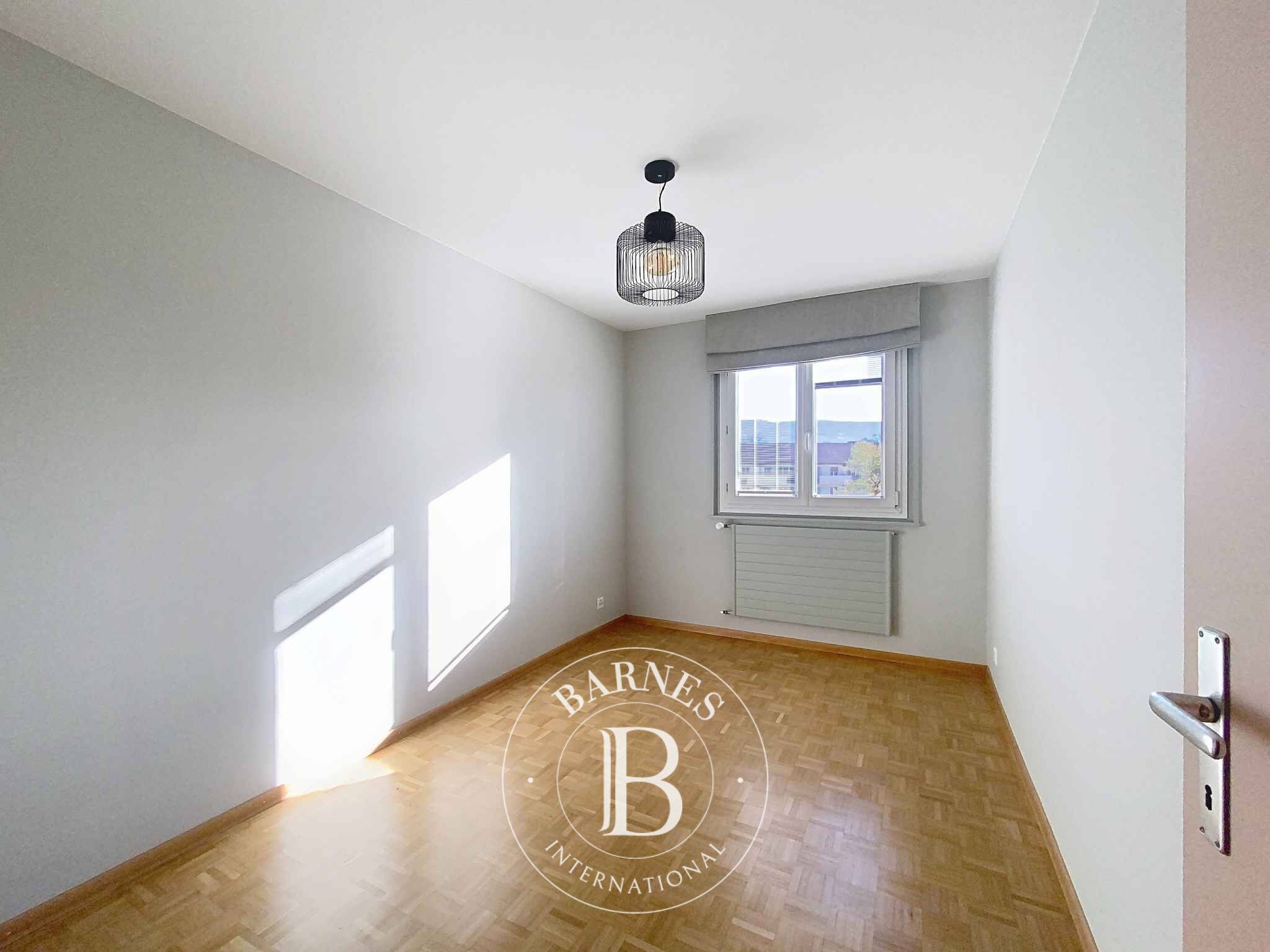 Daire Meinier - picture 4