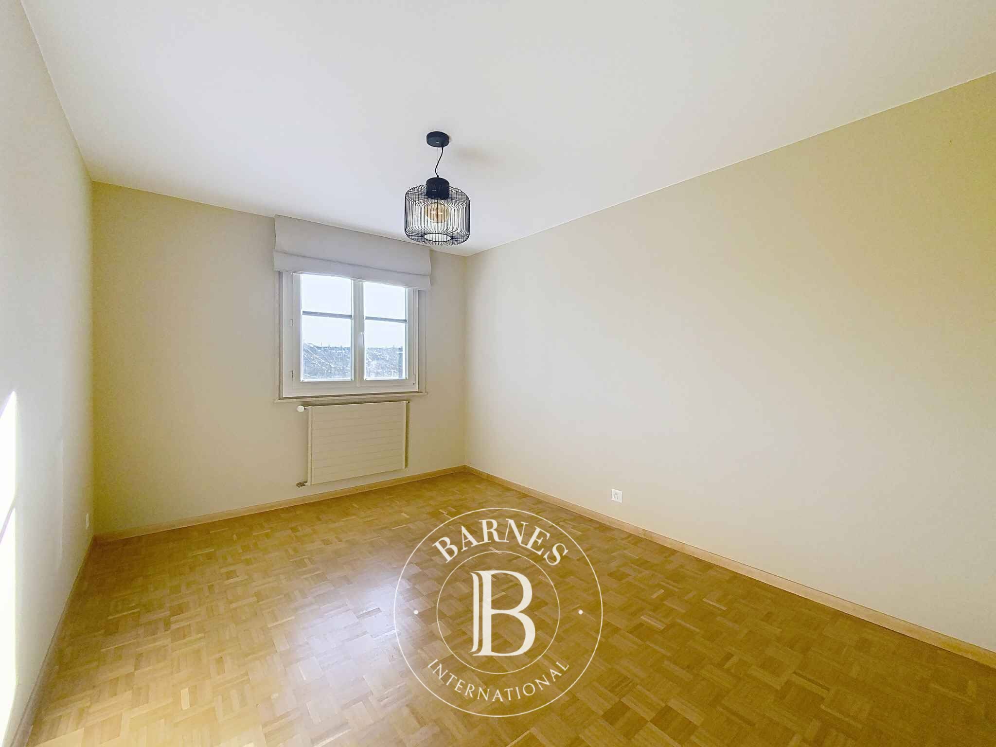 Daire Meinier - picture 5