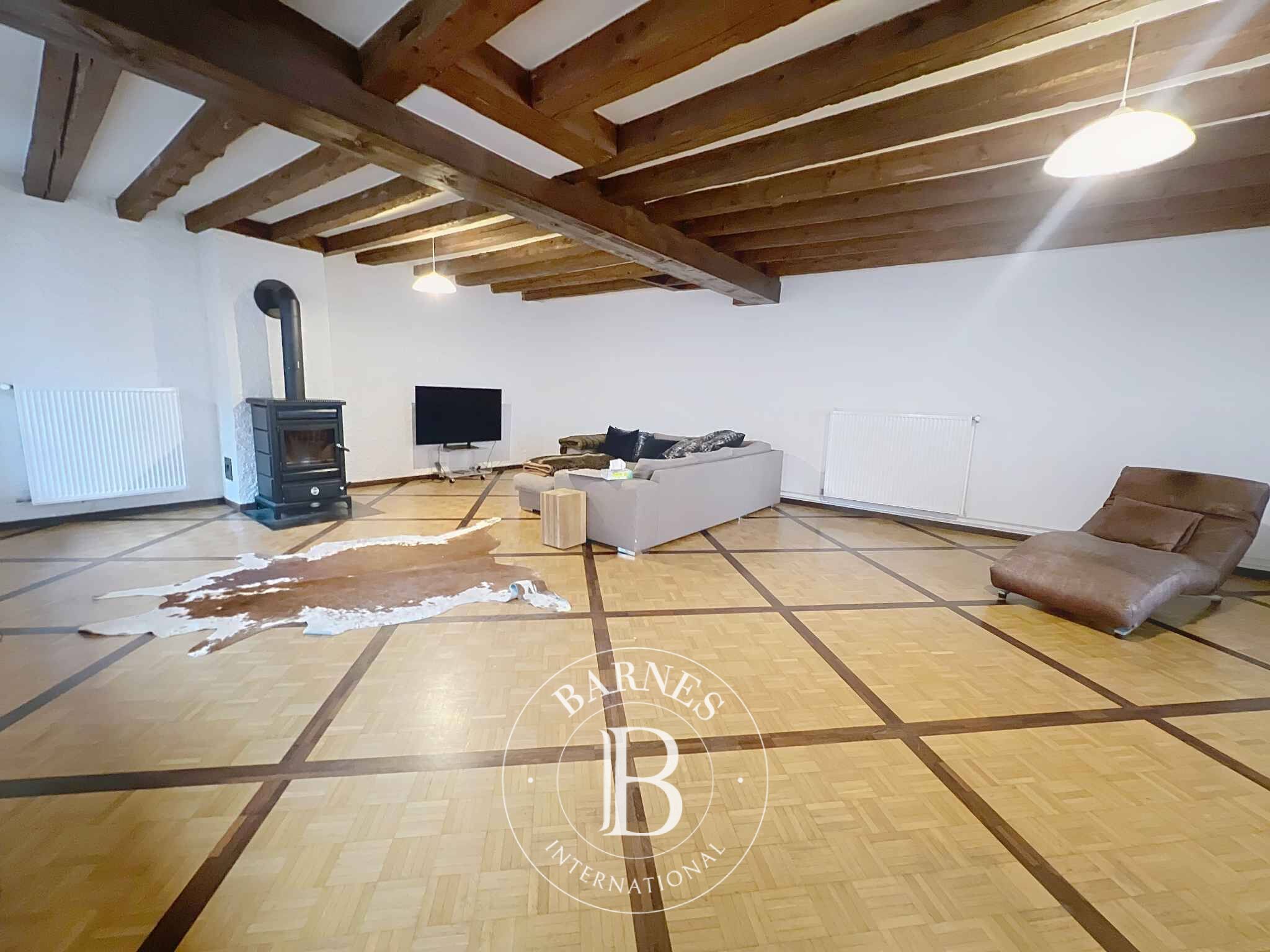 Köy evi Coppet - picture 5