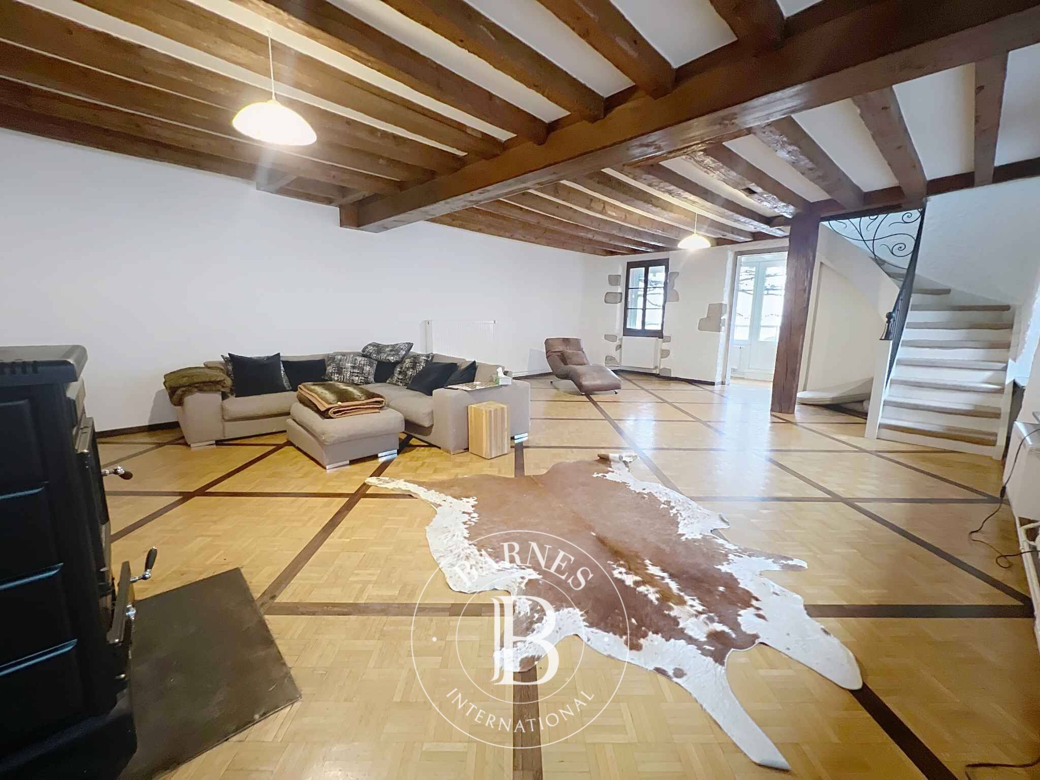 Köy evi Coppet - picture 4