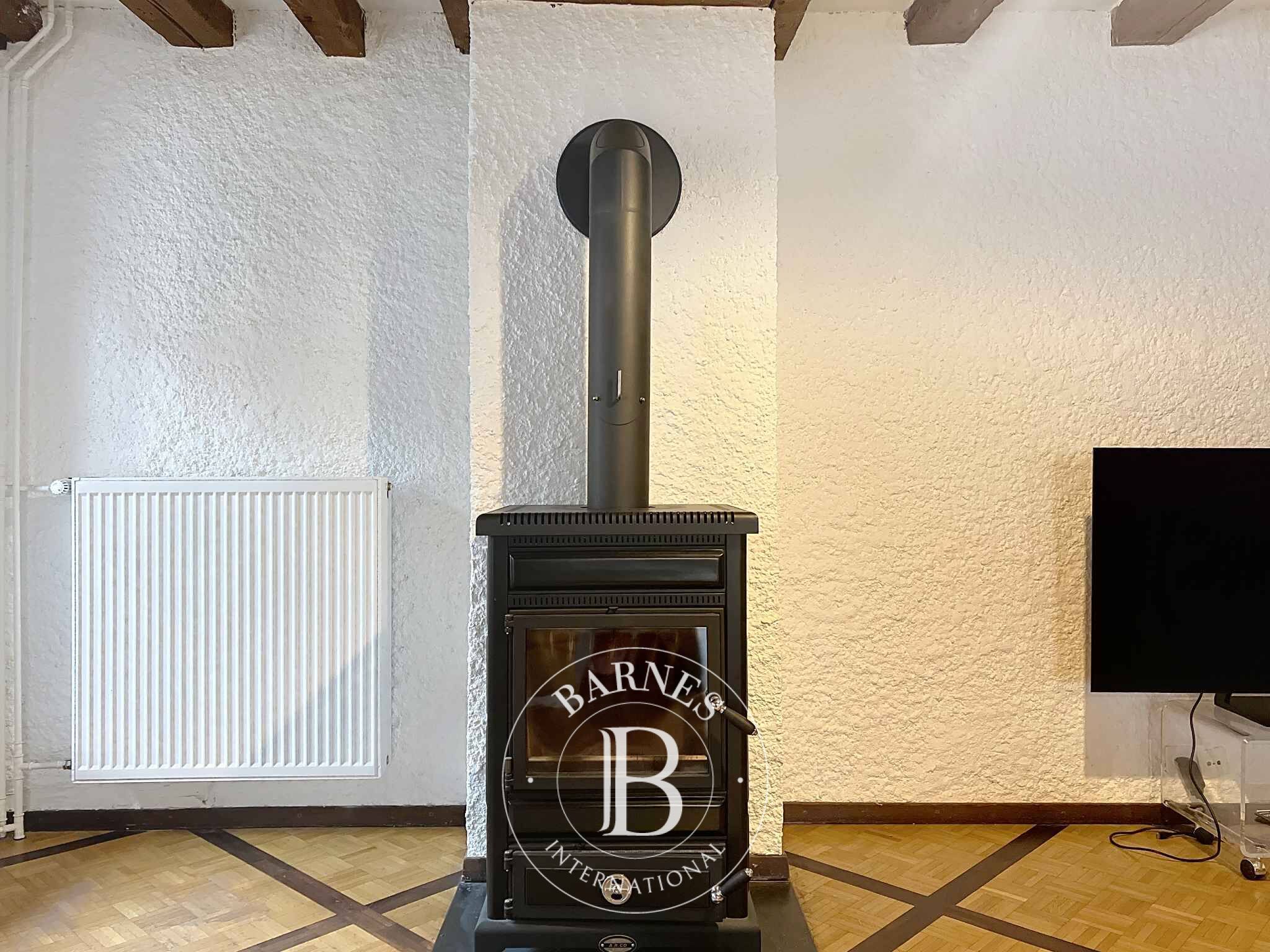 Köy evi Coppet - picture 7