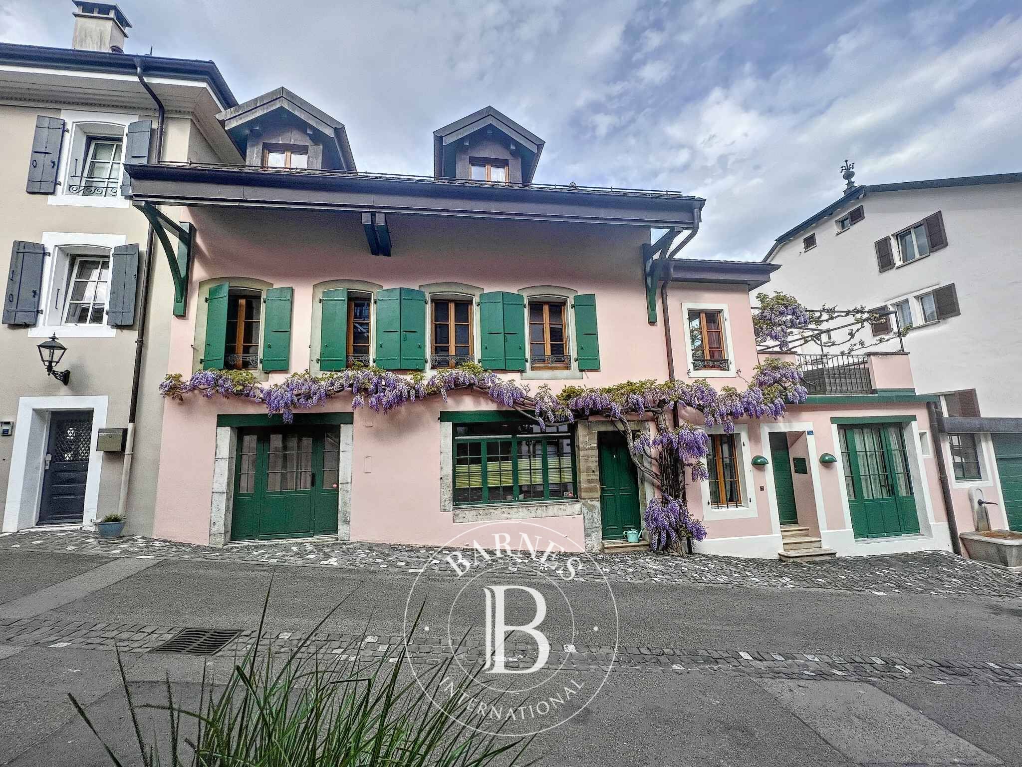 Köy evi Coppet - picture 13