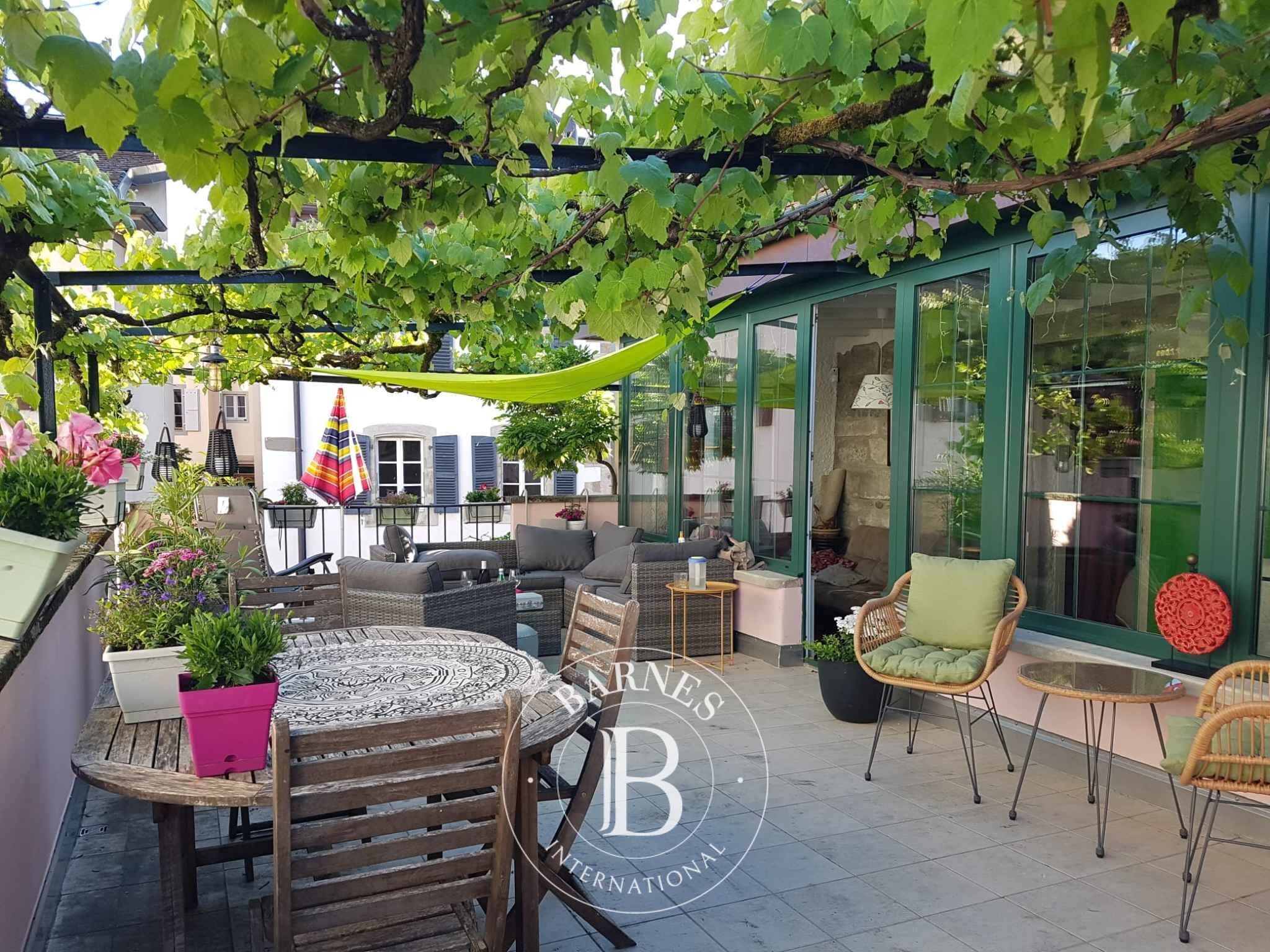 Köy evi Coppet - picture 11