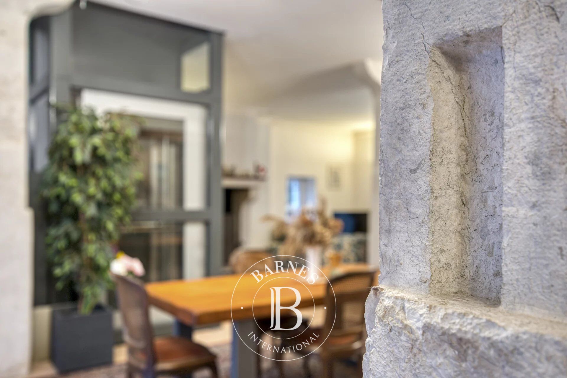 BARNES Pays de Gex – SAINT-JEAN-DE-GONVILLE – CHARMING ESTATE WITH THREE APARTMENTS AND LARGE PLOT - picture 3