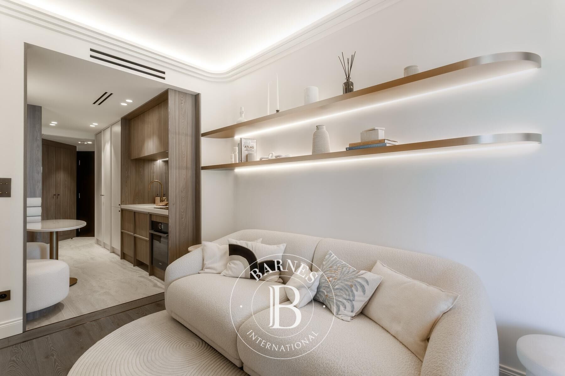 Daire Monaco - picture 9