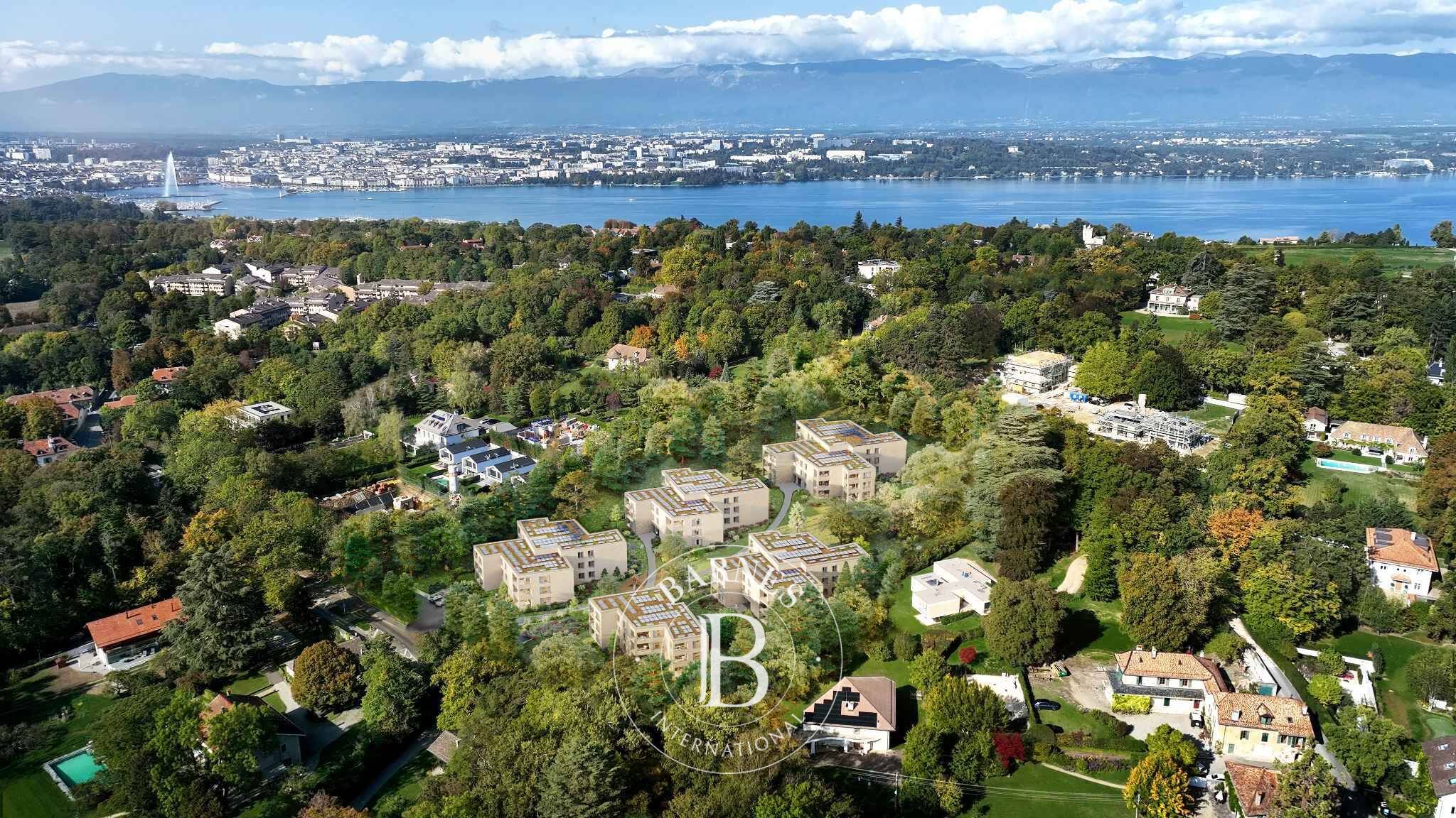 Daire Vandoeuvres - picture 4