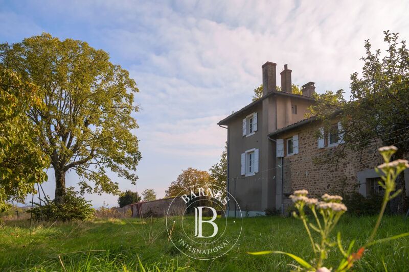 Venta Viñedo | Villié-Morgon - picture 3