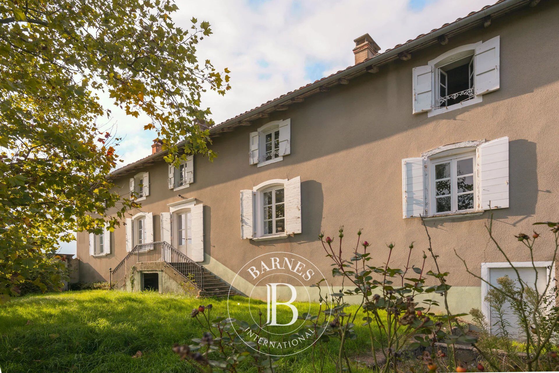 Proprietà vinicola Villié-Morgon - picture 1