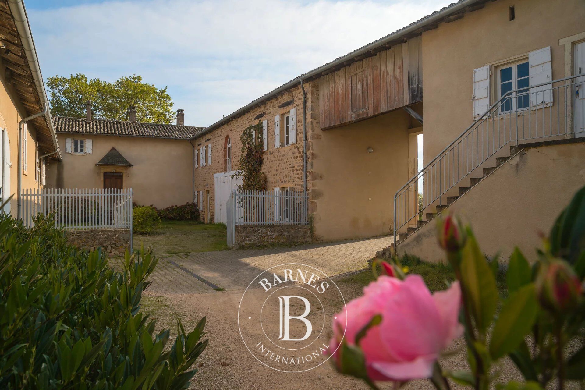 Proprietà vinicola Villié-Morgon - picture 3