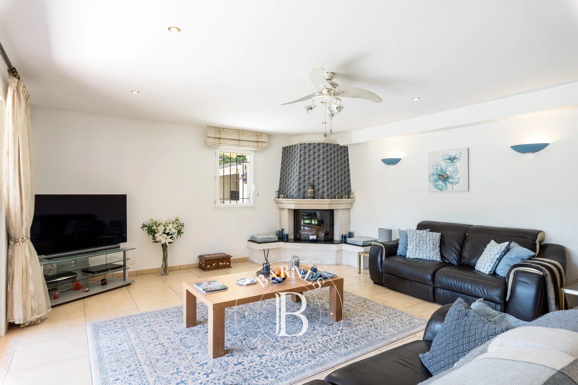 Villa Valbonne - picture 4