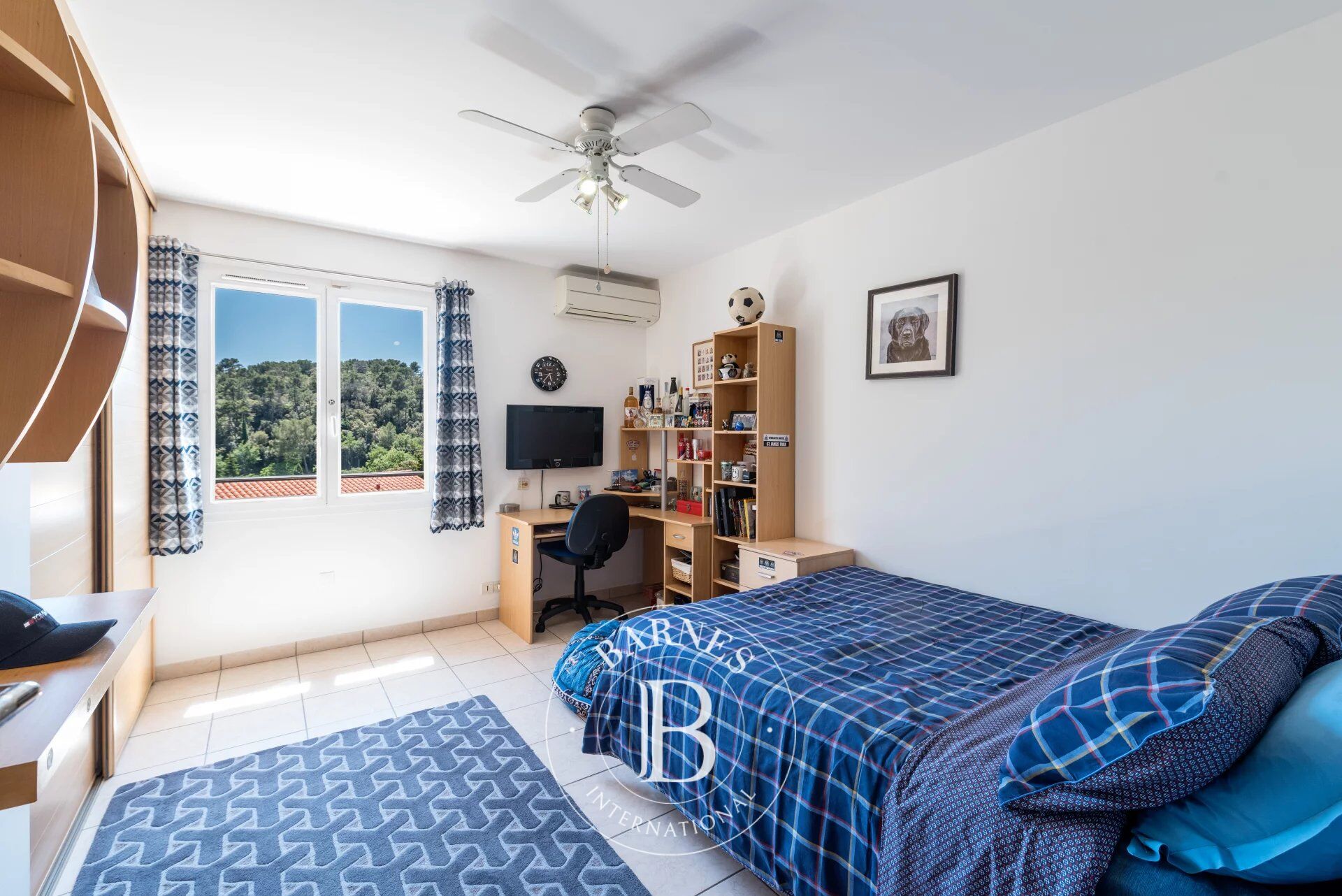 Villa Valbonne - picture 8