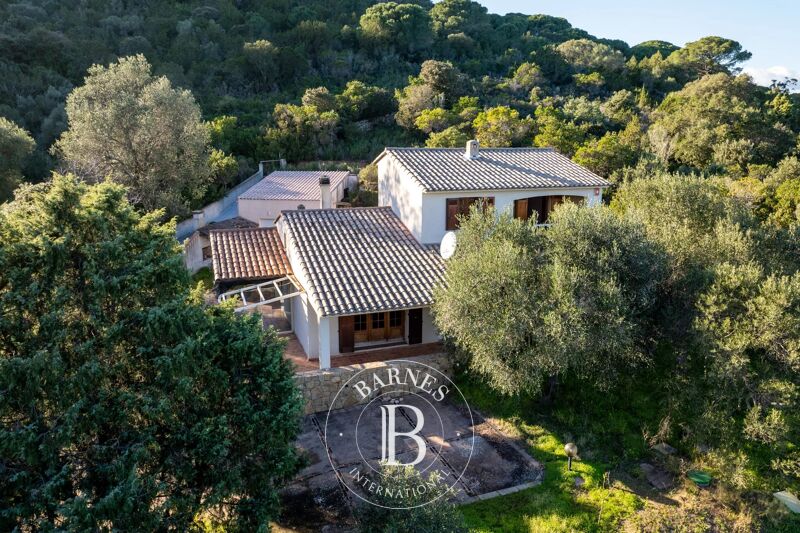 Venta, Finca Porto-Vecchio - picture 2