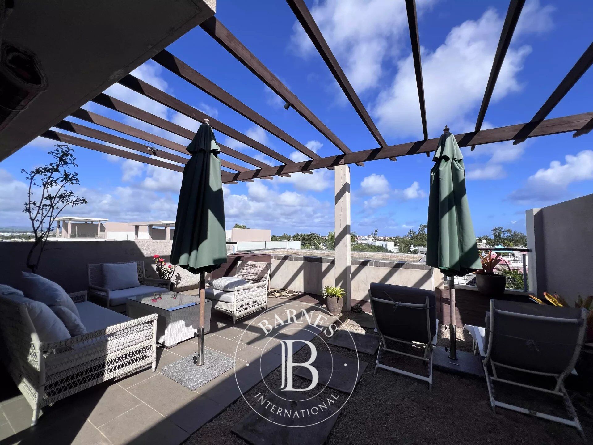 Penthouse Bain Bœuf - picture 23