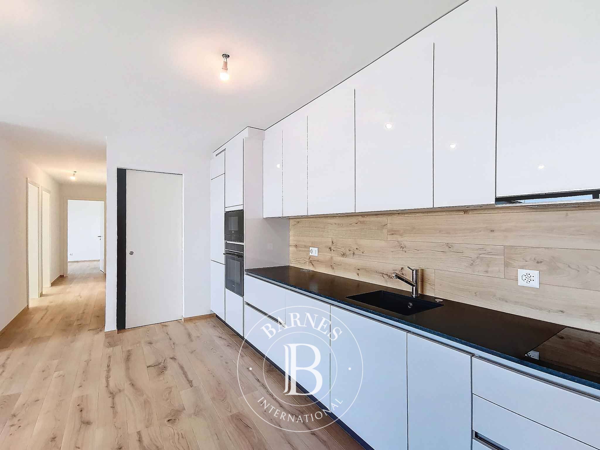 Daire Veytaux - picture 4