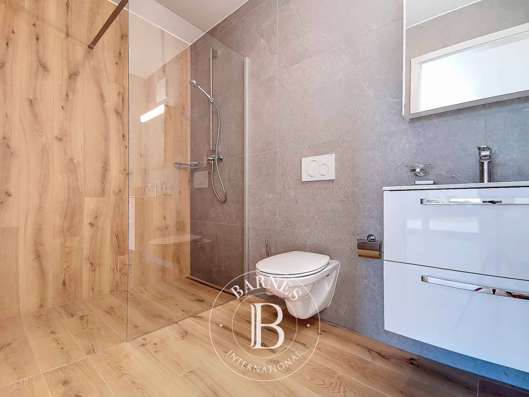 Daire Veytaux - picture 8