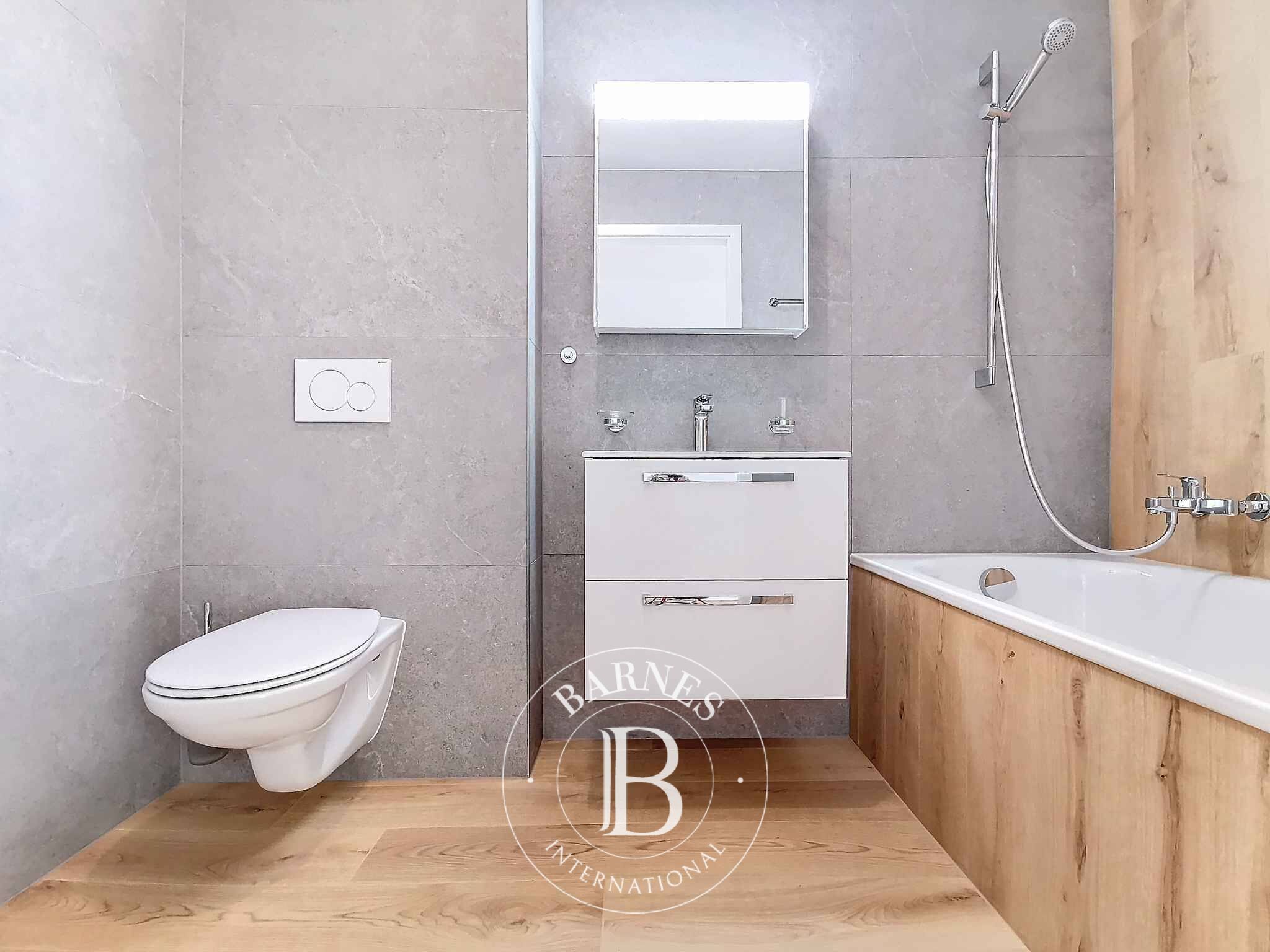 Daire Veytaux - picture 6