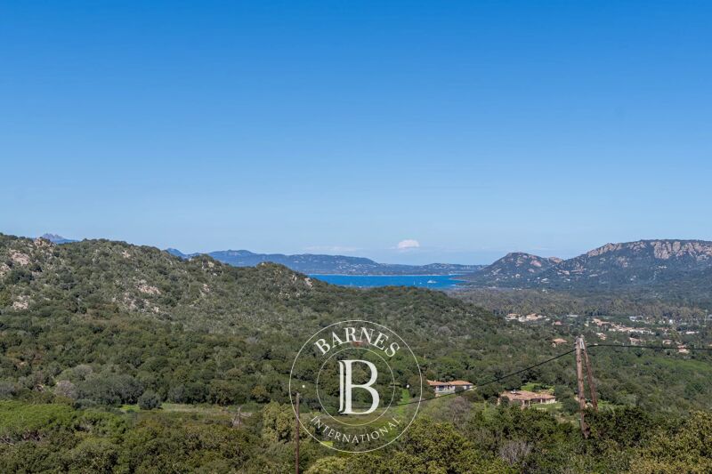 Venta, Villa Porto-Vecchio - picture 1