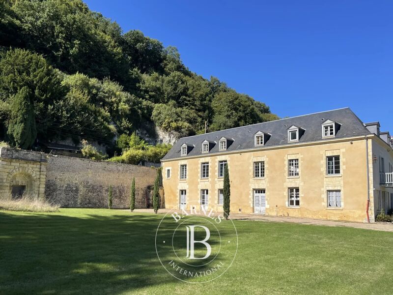 Venta, Finca Vernou-sur-Brenne - picture 3