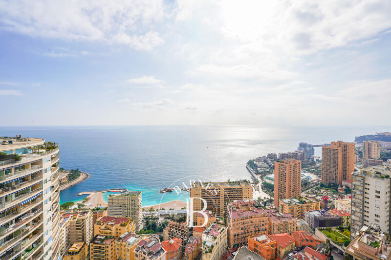 ANNONCIADE - PENTHOUSE - PANORAMIC SEA & MONACO VIEWS