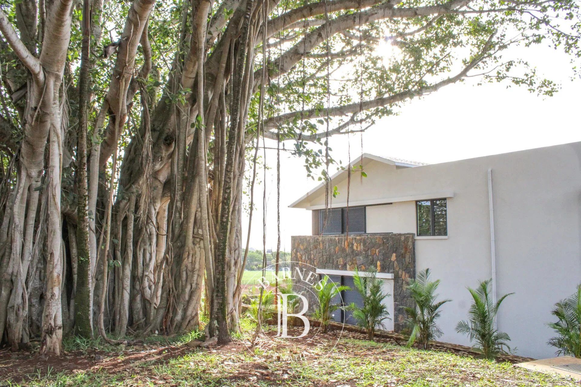 Daire Mapou - picture 14