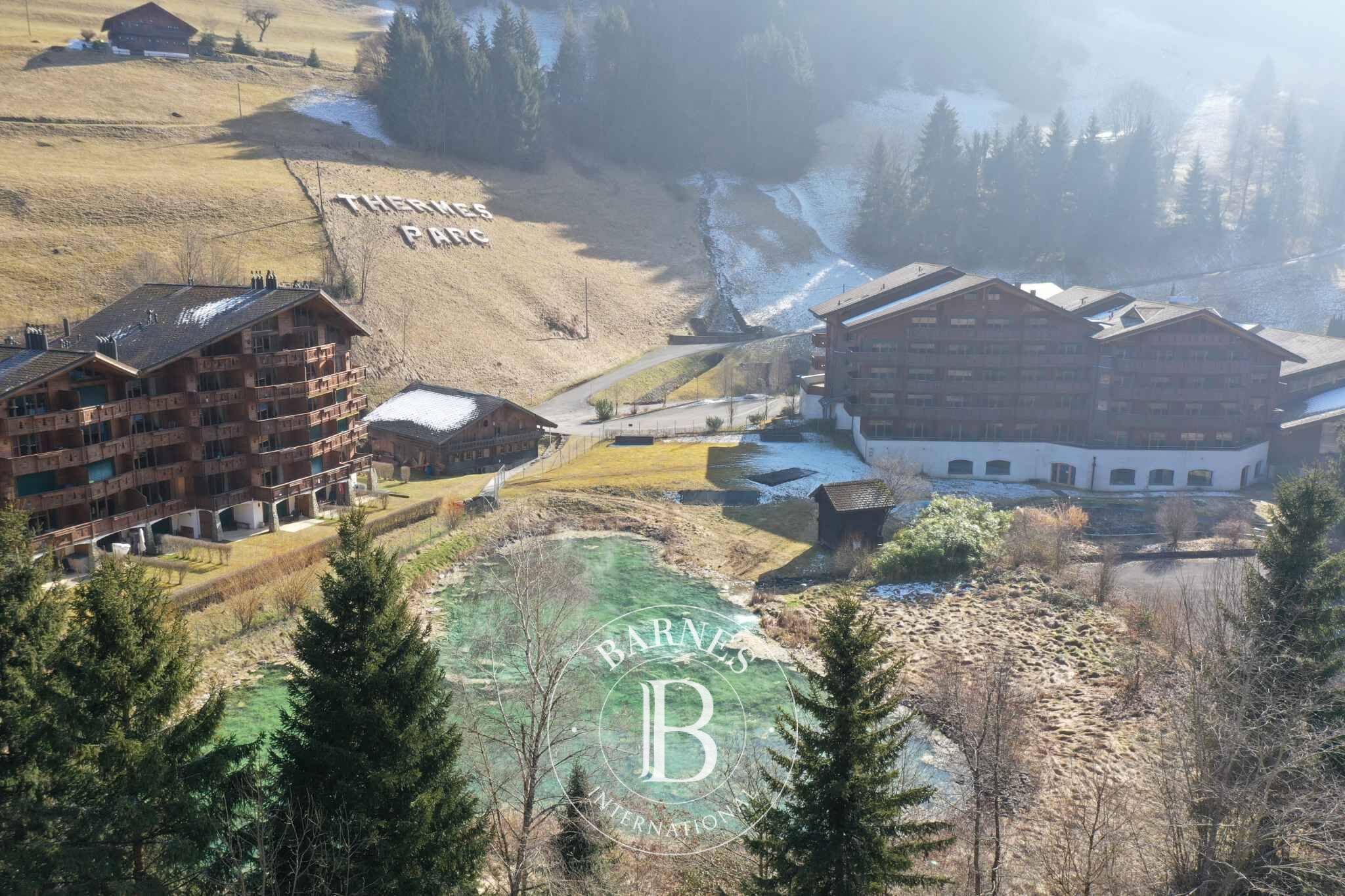 Daire Val-d'Illiez - picture 9