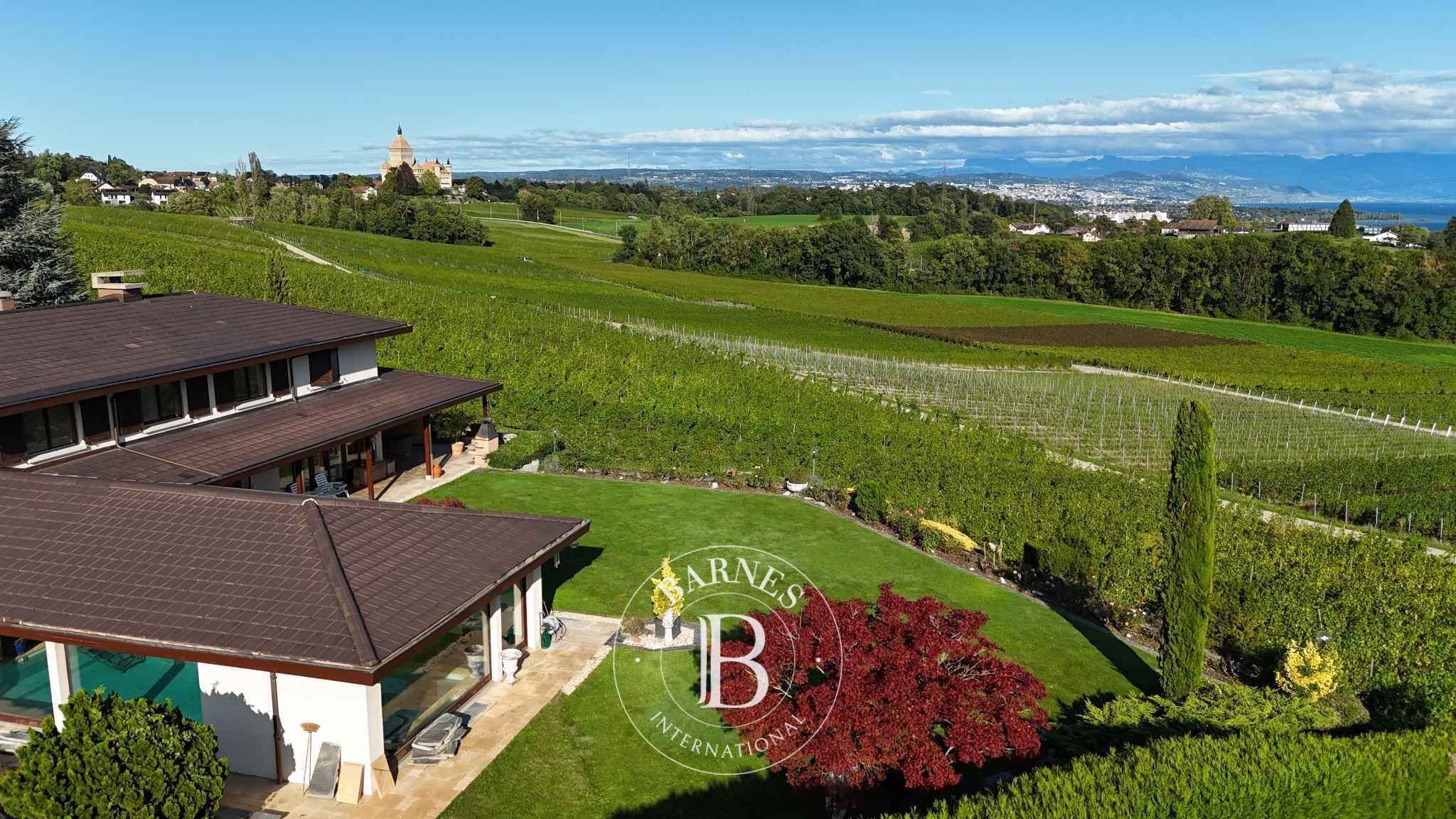 Villa Denens - picture 3