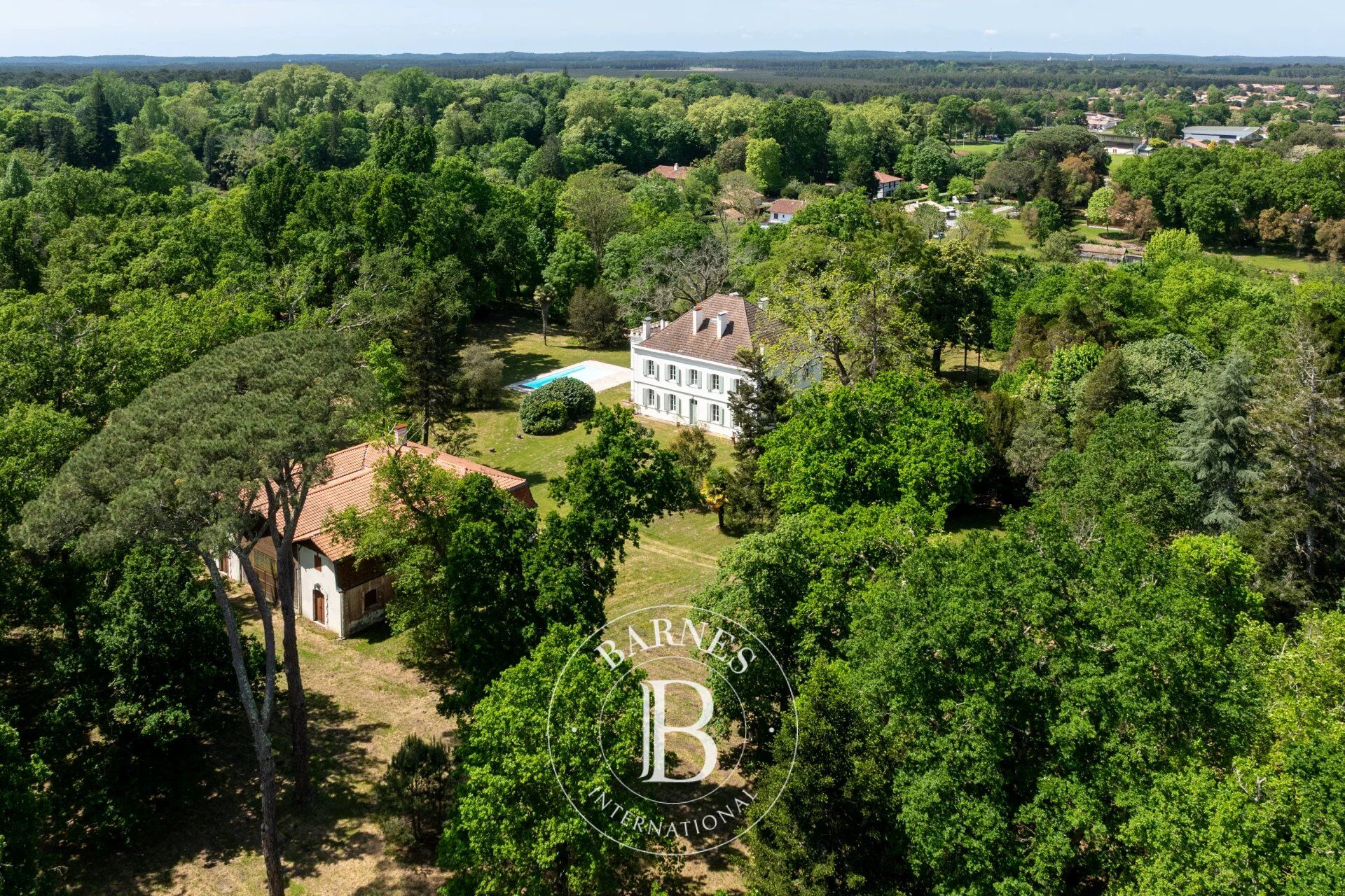 Finca Linxe - picture 3