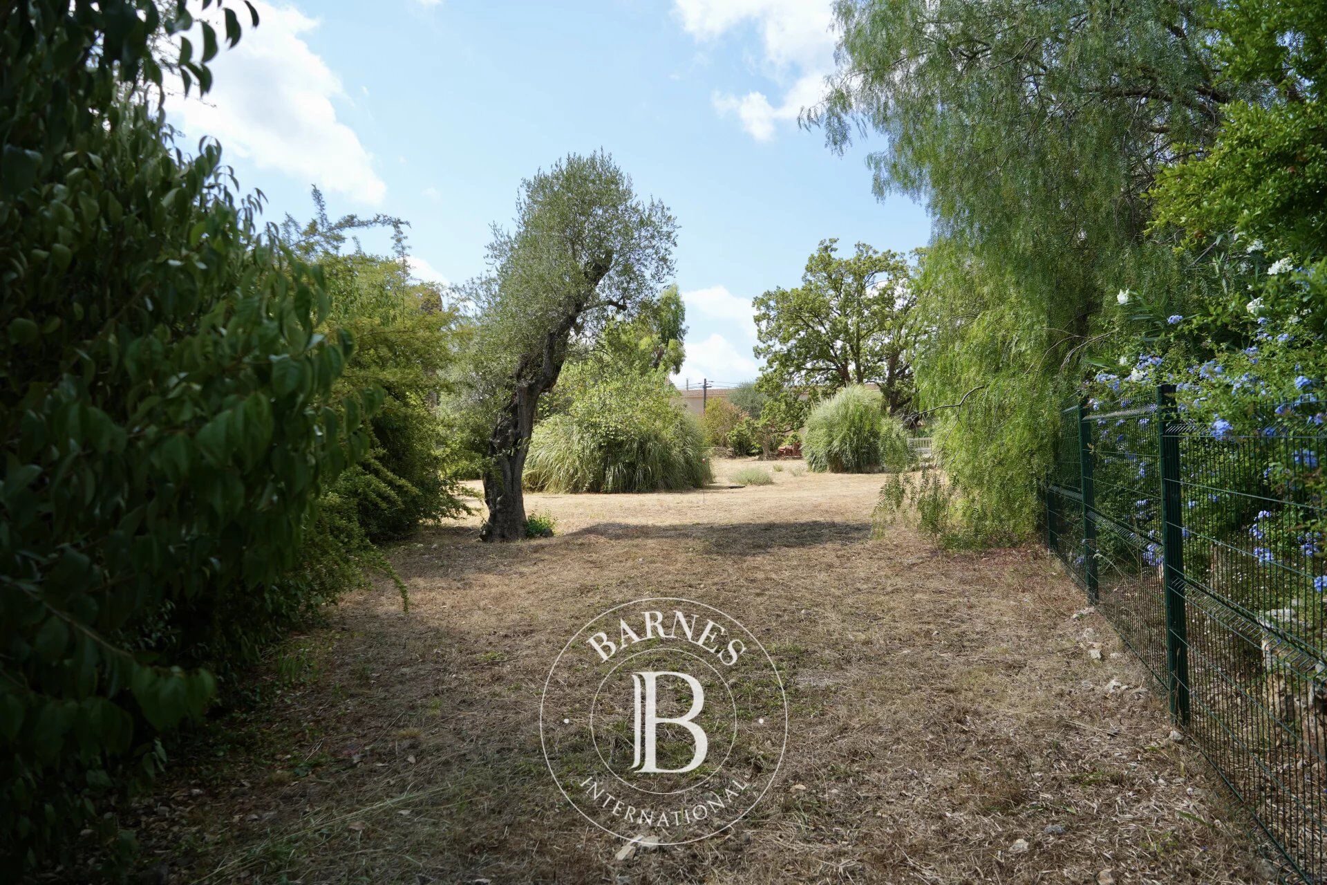 Arazi Roquefort-les-Pins - picture 23