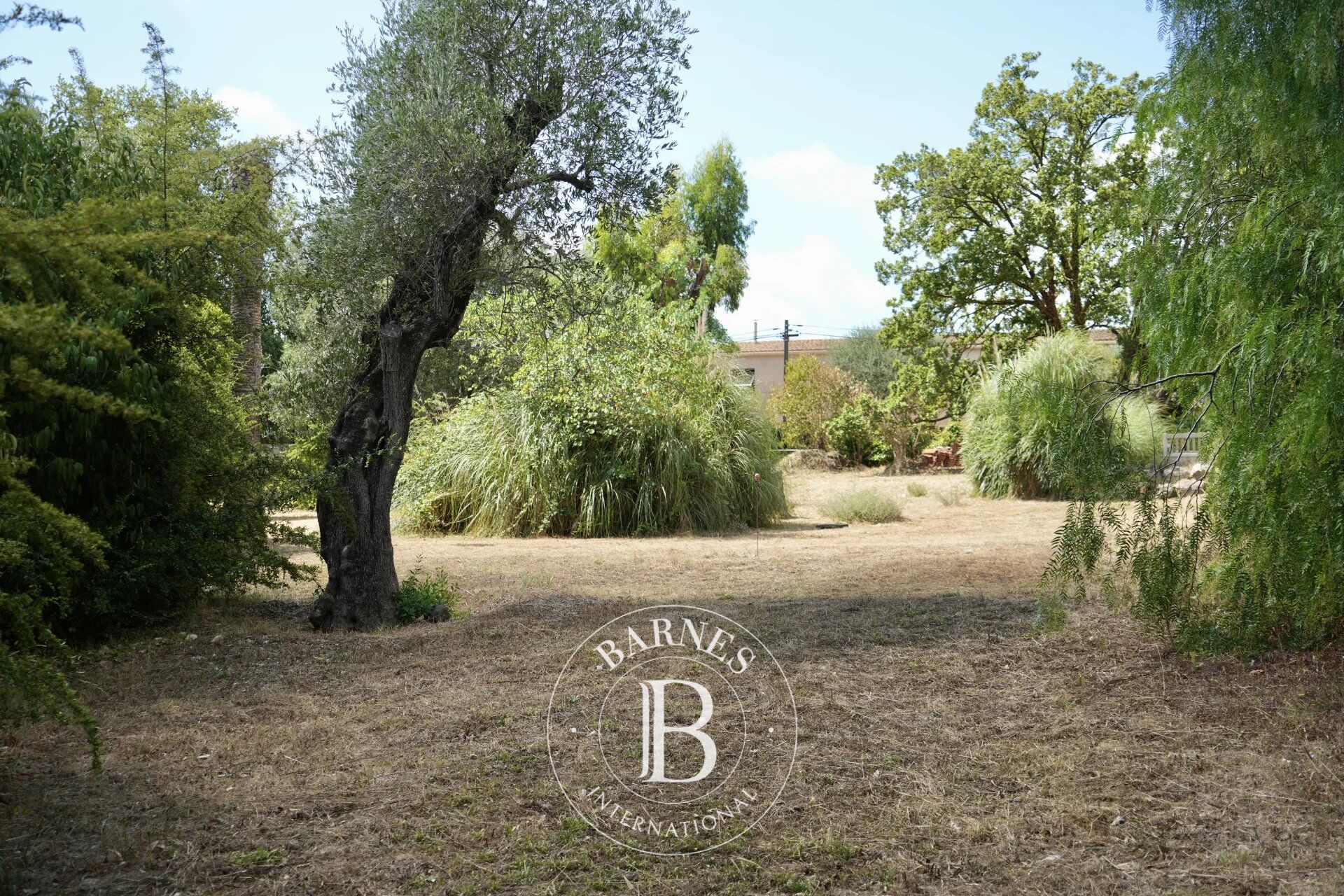 Arazi Roquefort-les-Pins - picture 17